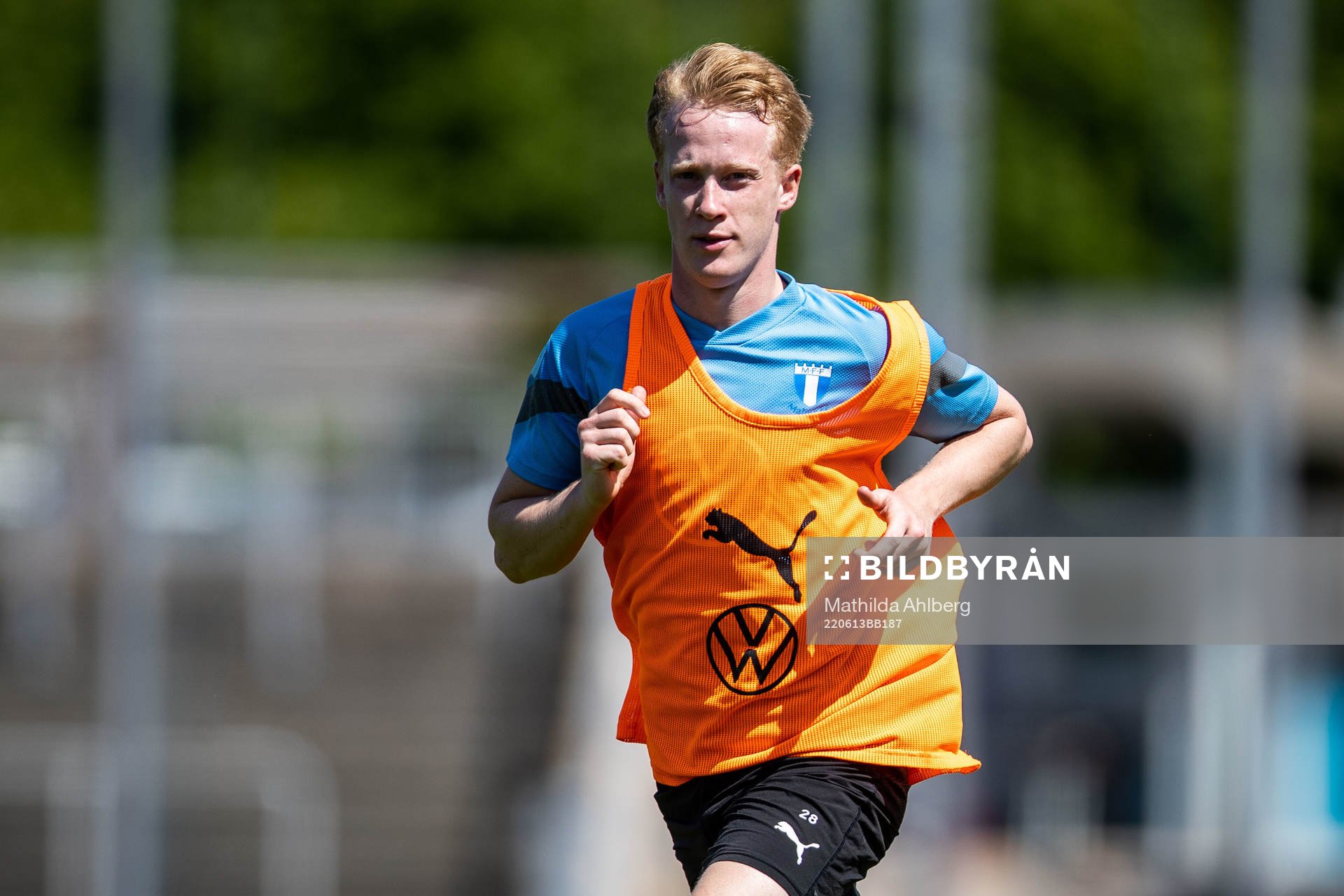David Edvardsson