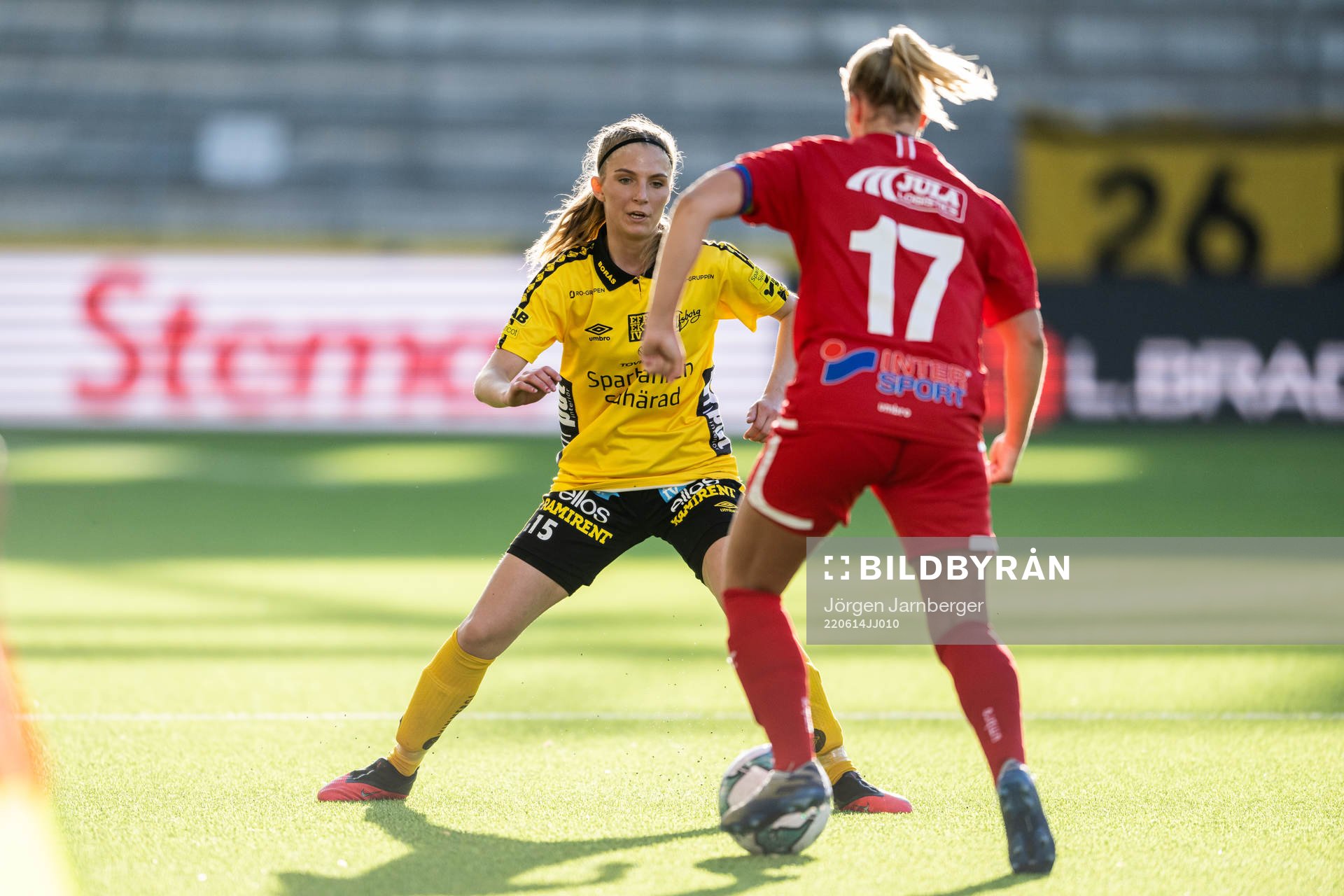 Elfsborgs Saga Andersson