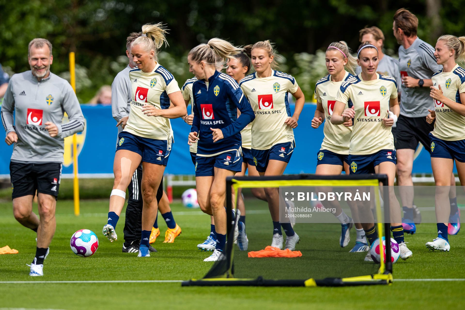 Players of the Swedish women's national football team