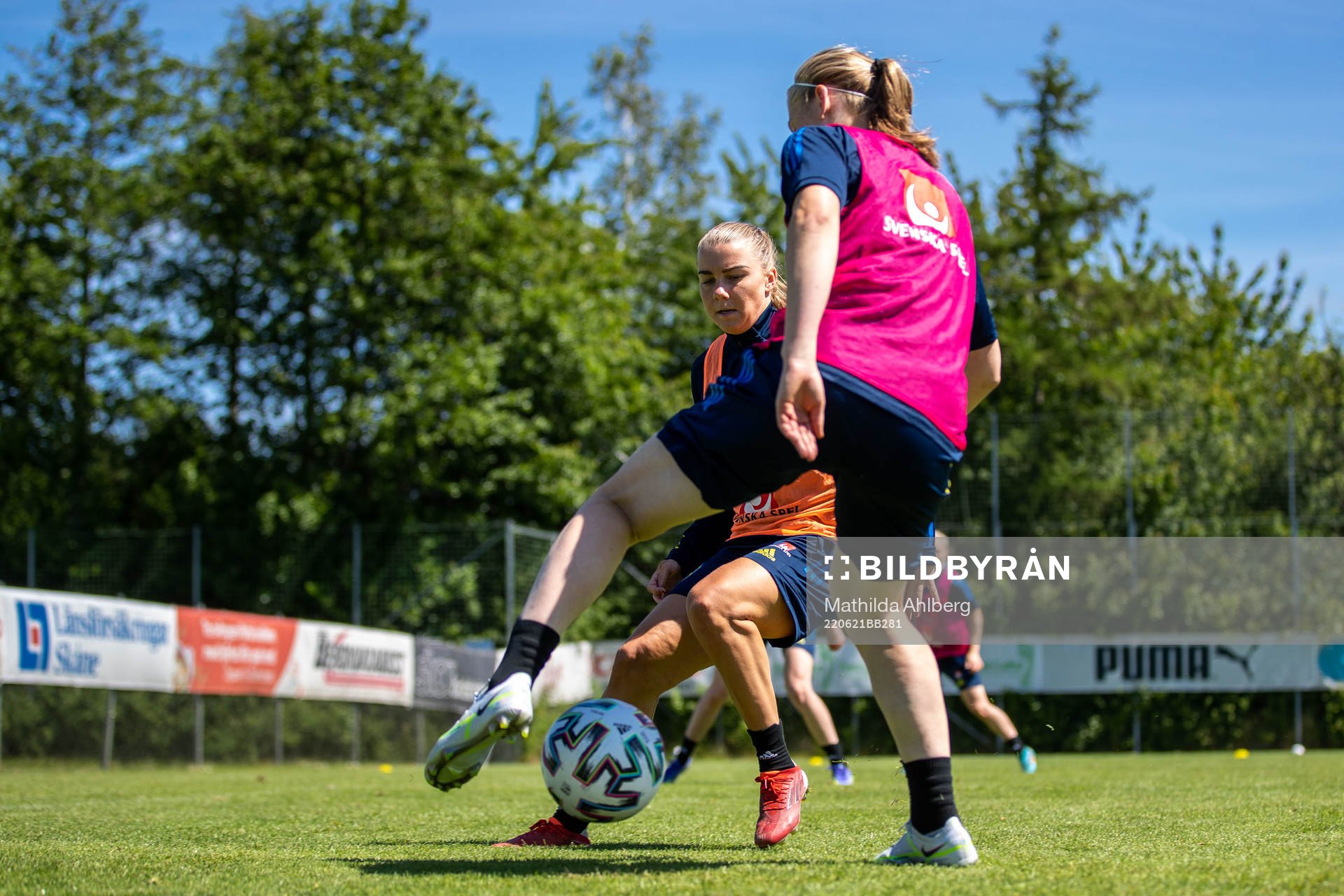 Beatrice Persson