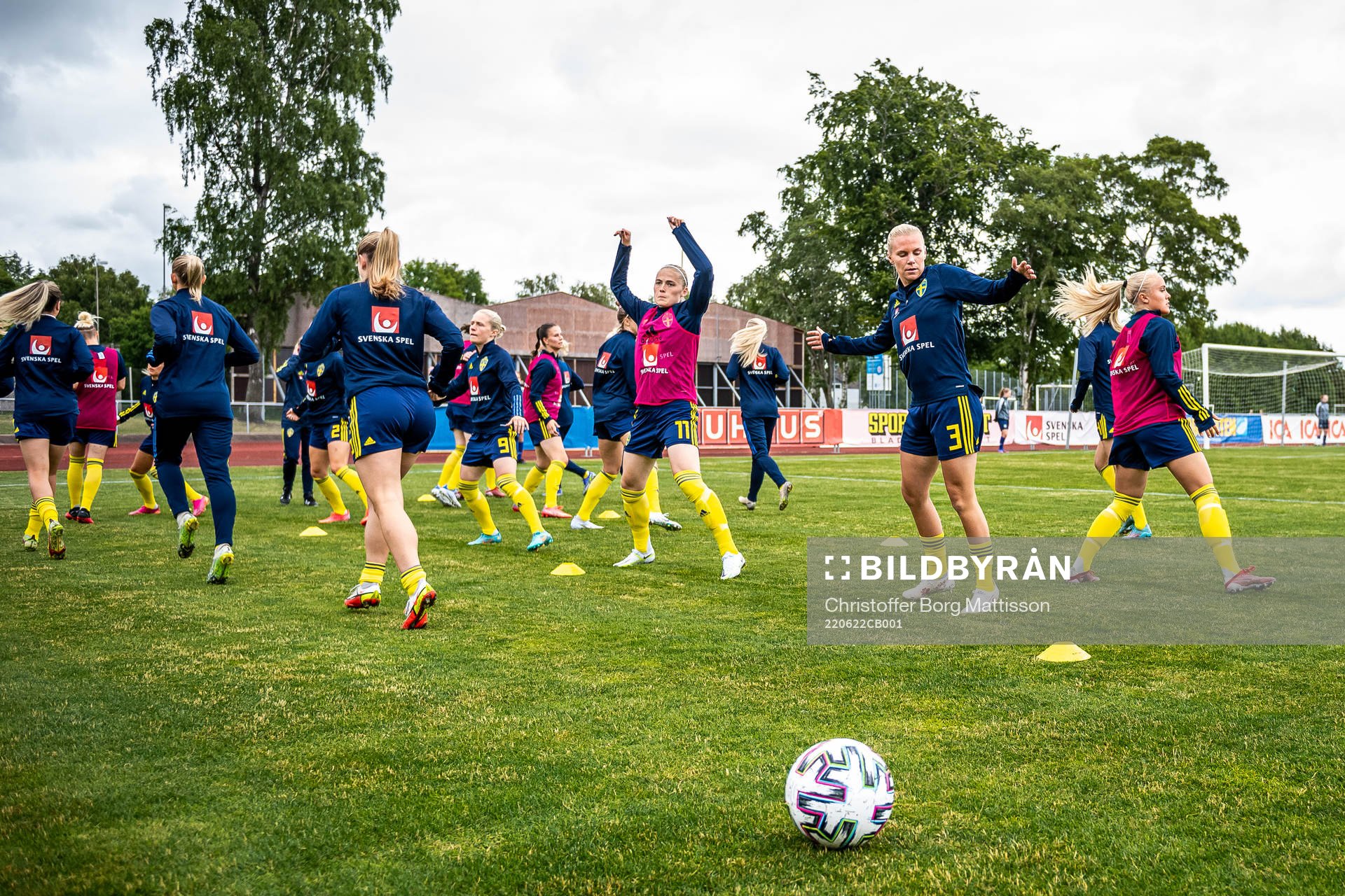 Players of Sweden
