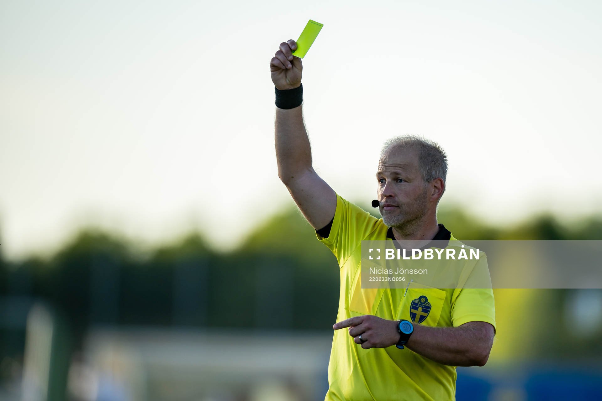 Domare Niklas Olsson