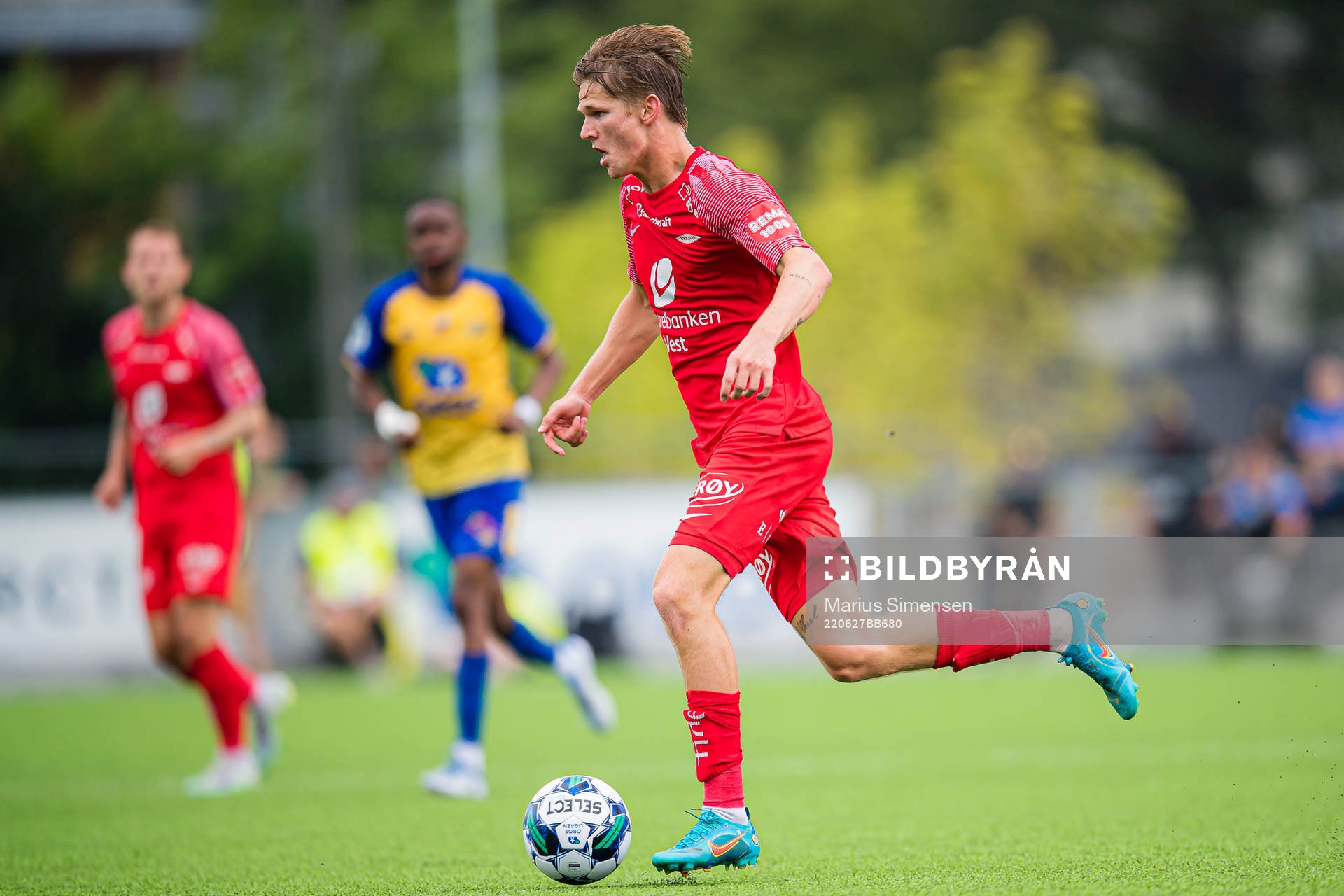 David Møller Wolfe of Brann