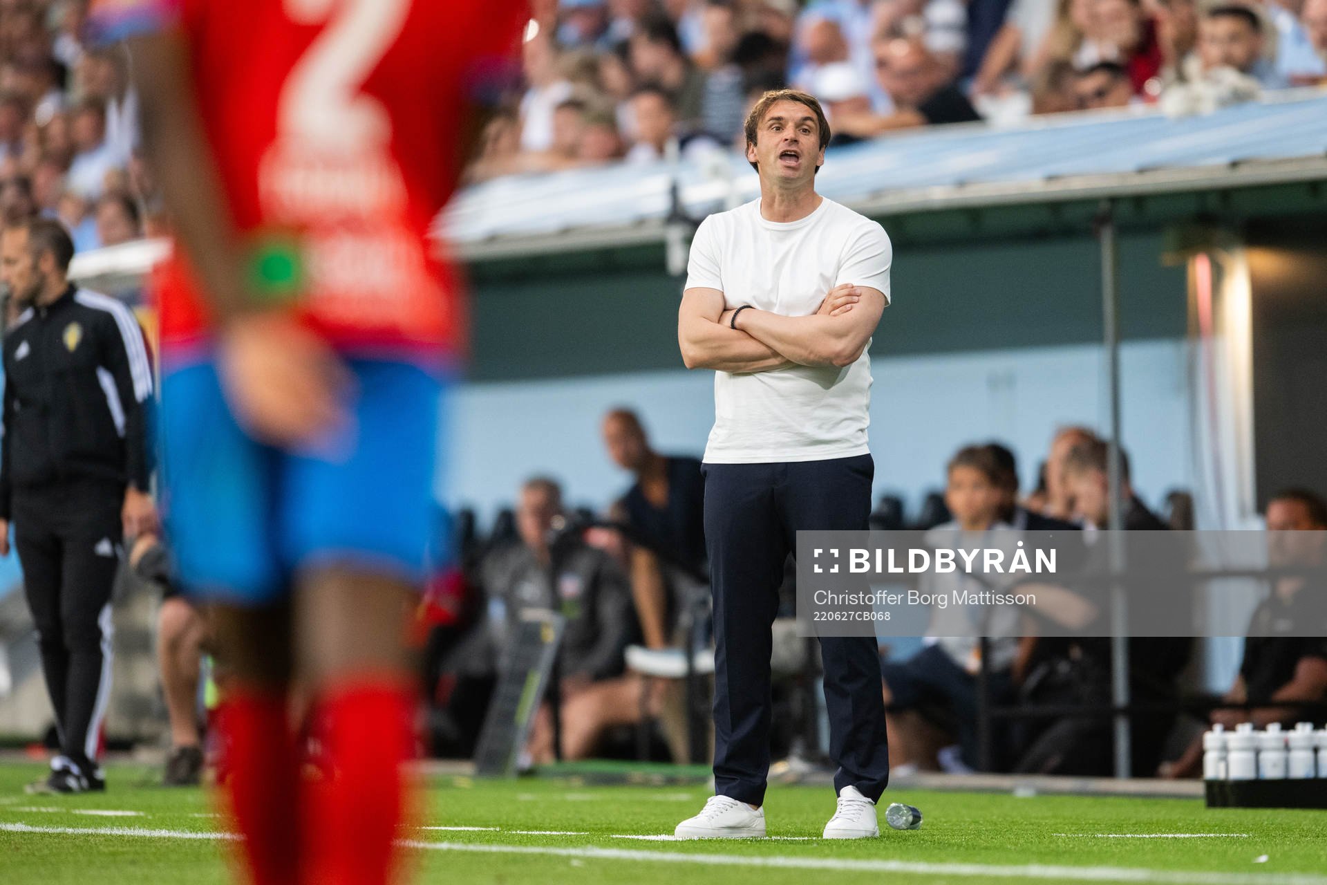 Malmö FFs tränare Milos Milojevic