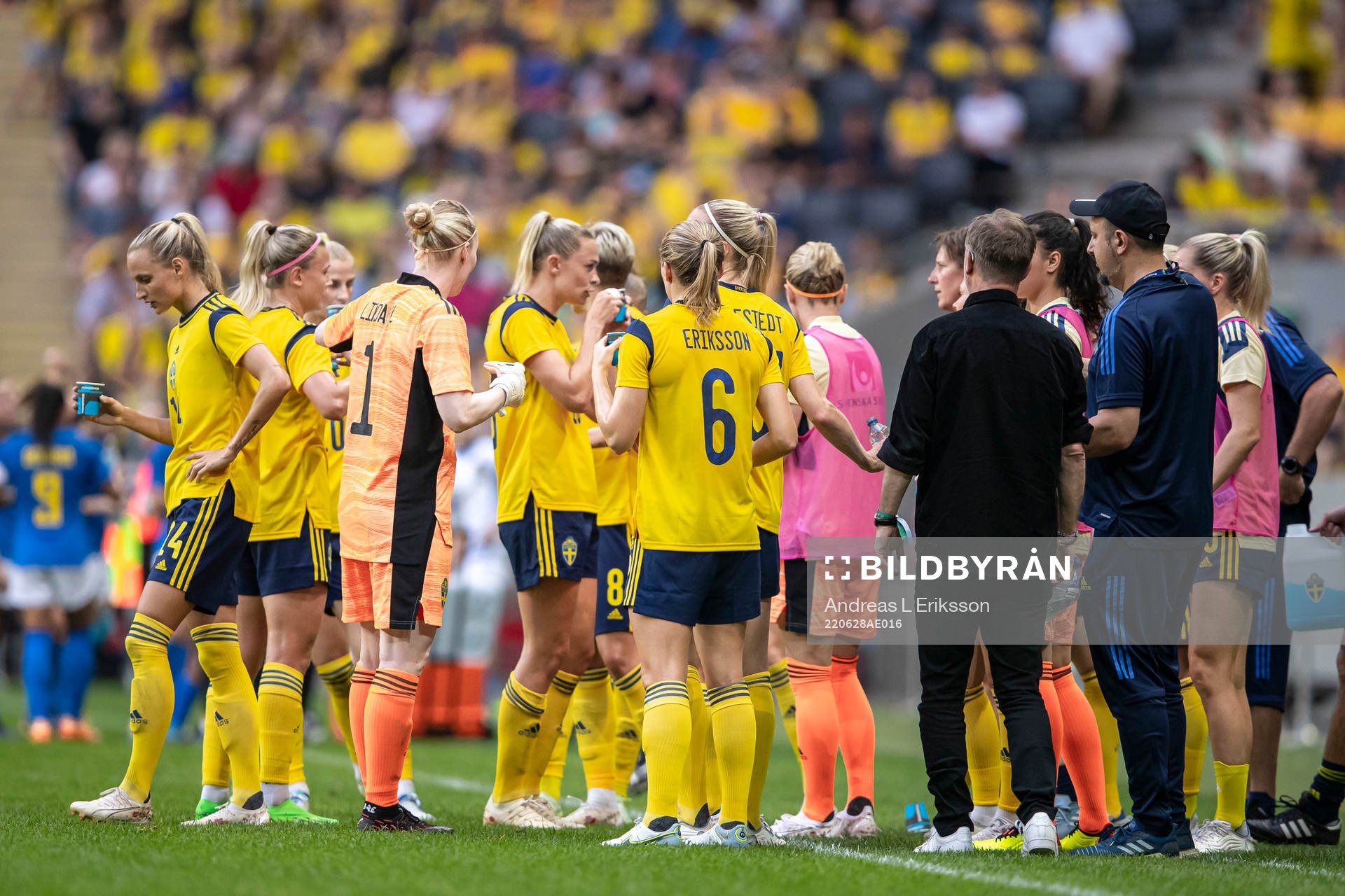 Players of Sweden at a cooling brake