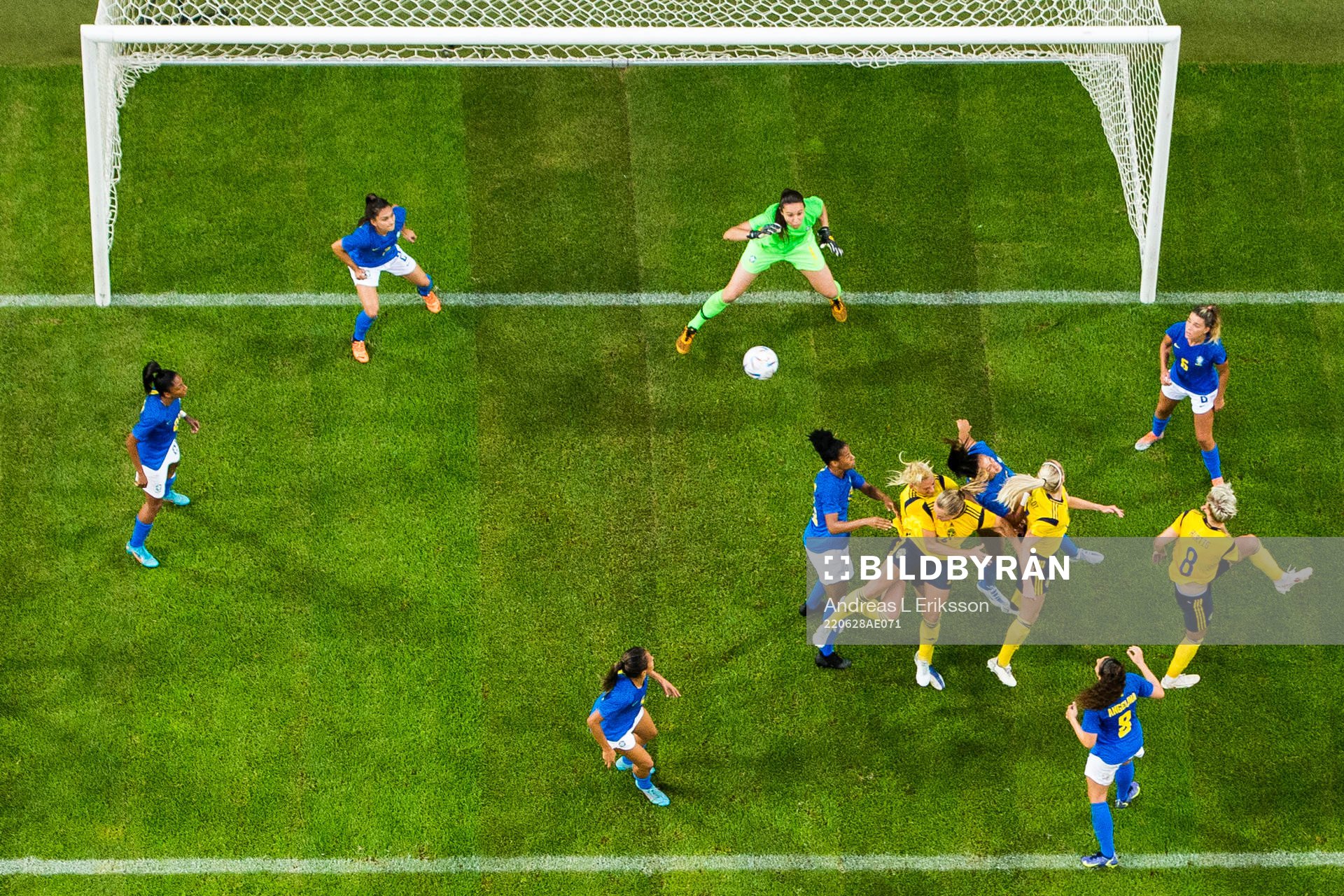 Players of Sweden and of Brazil