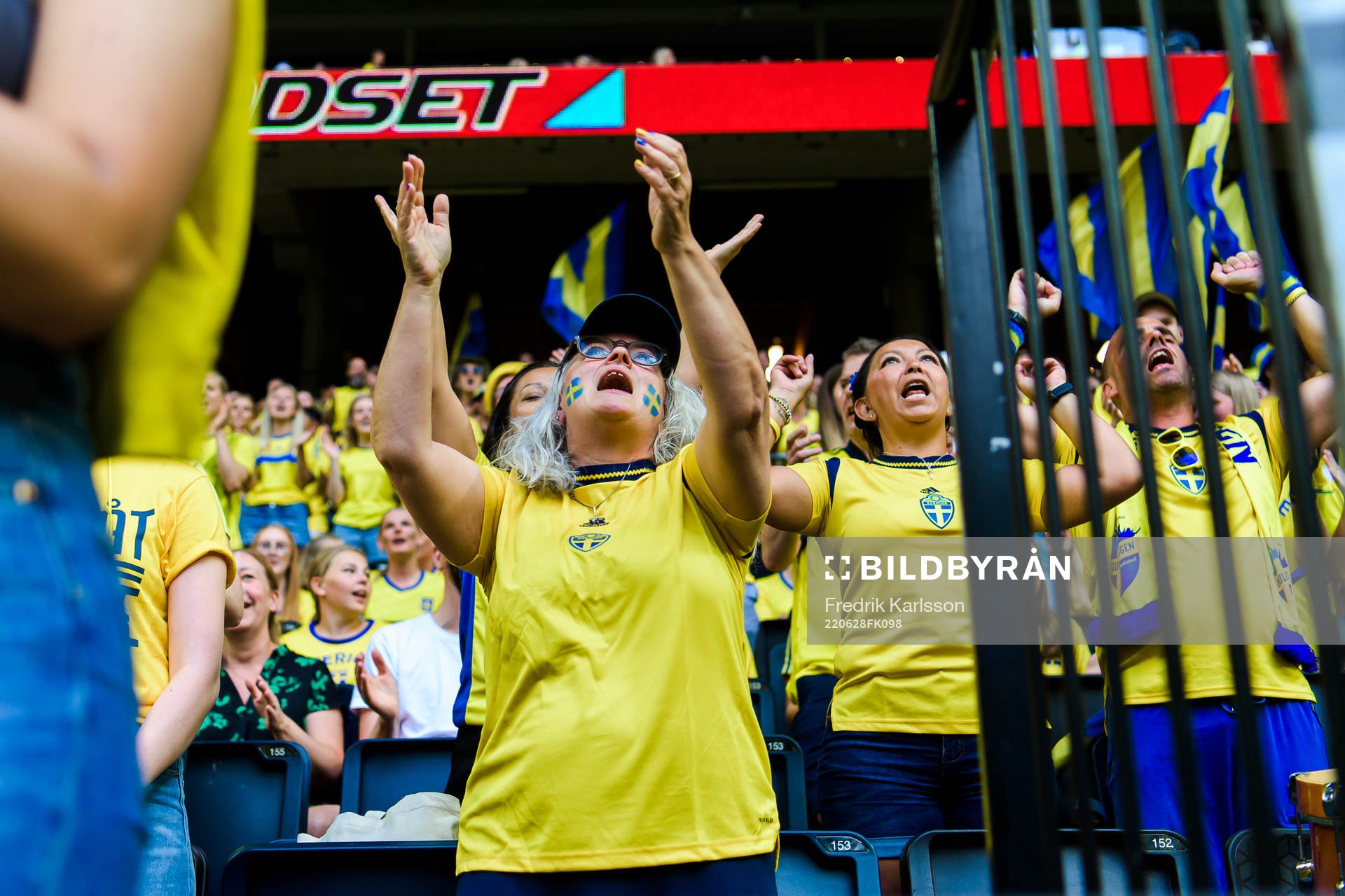 Swedish supporters celebrate