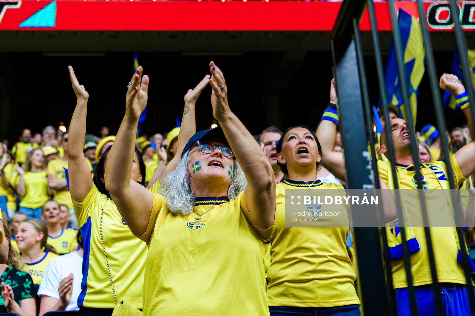 Swedish supporters celebrate
