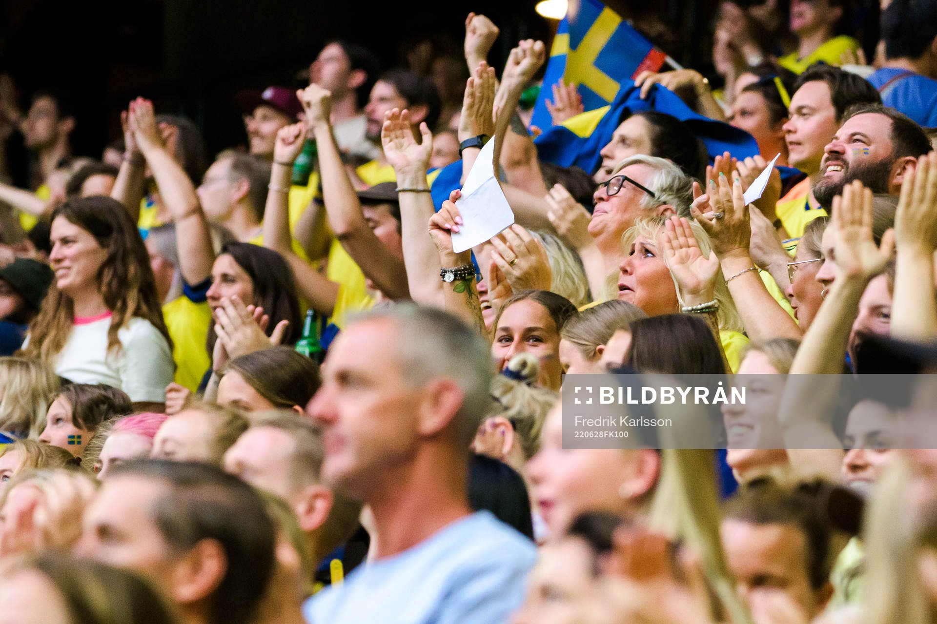 Swedish supporters celebrate