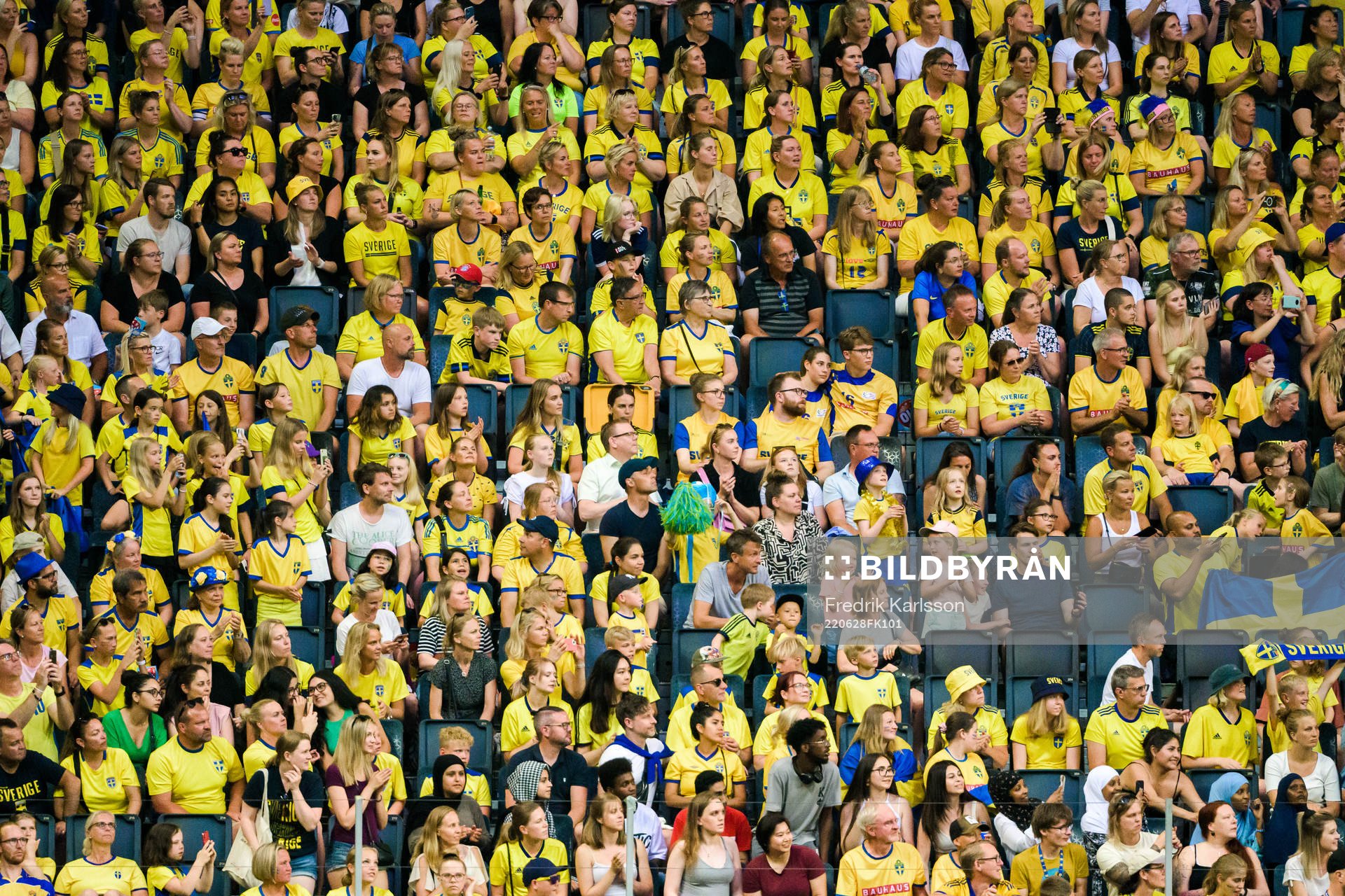 Swedish supporters celebrate