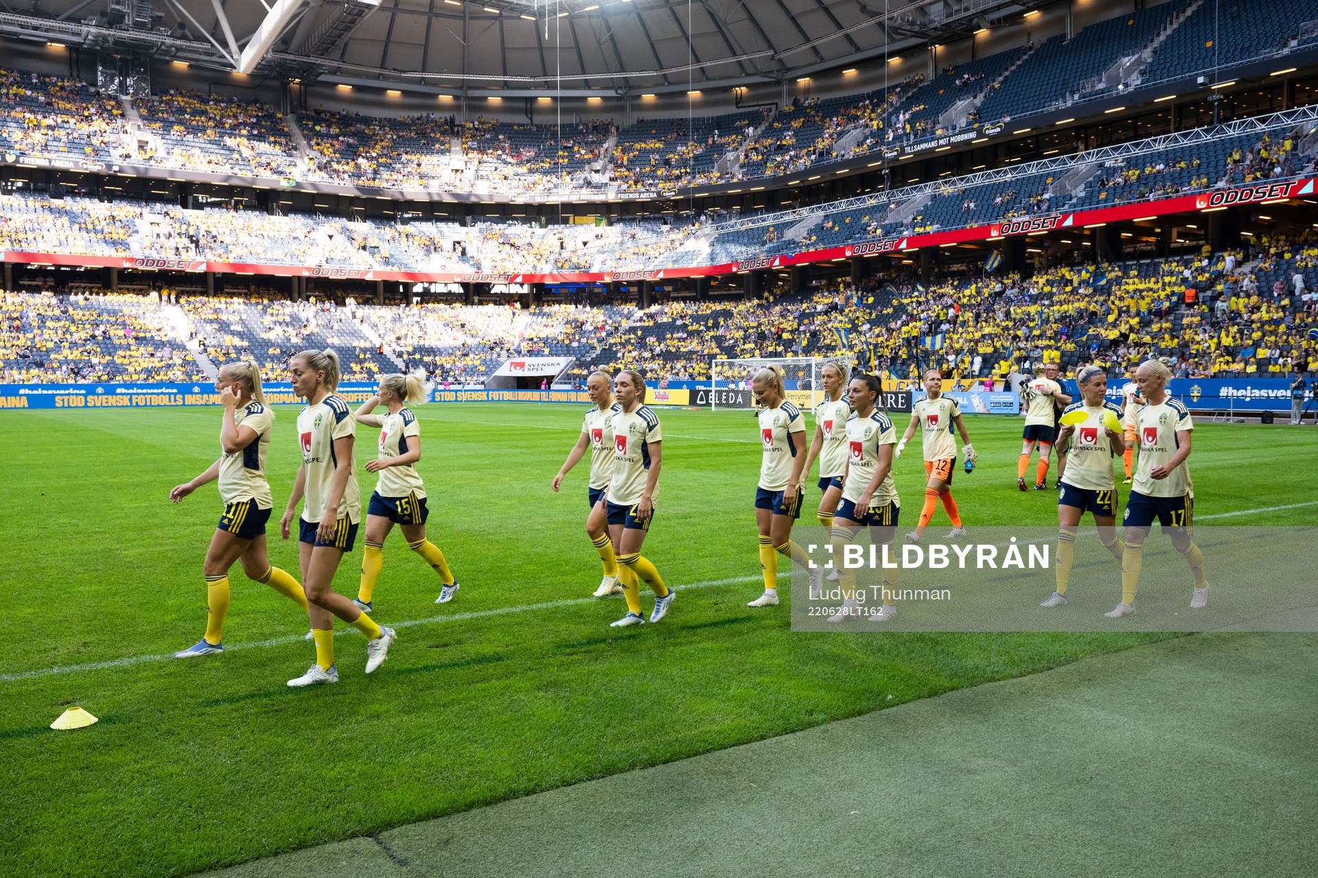 Players of Sweden