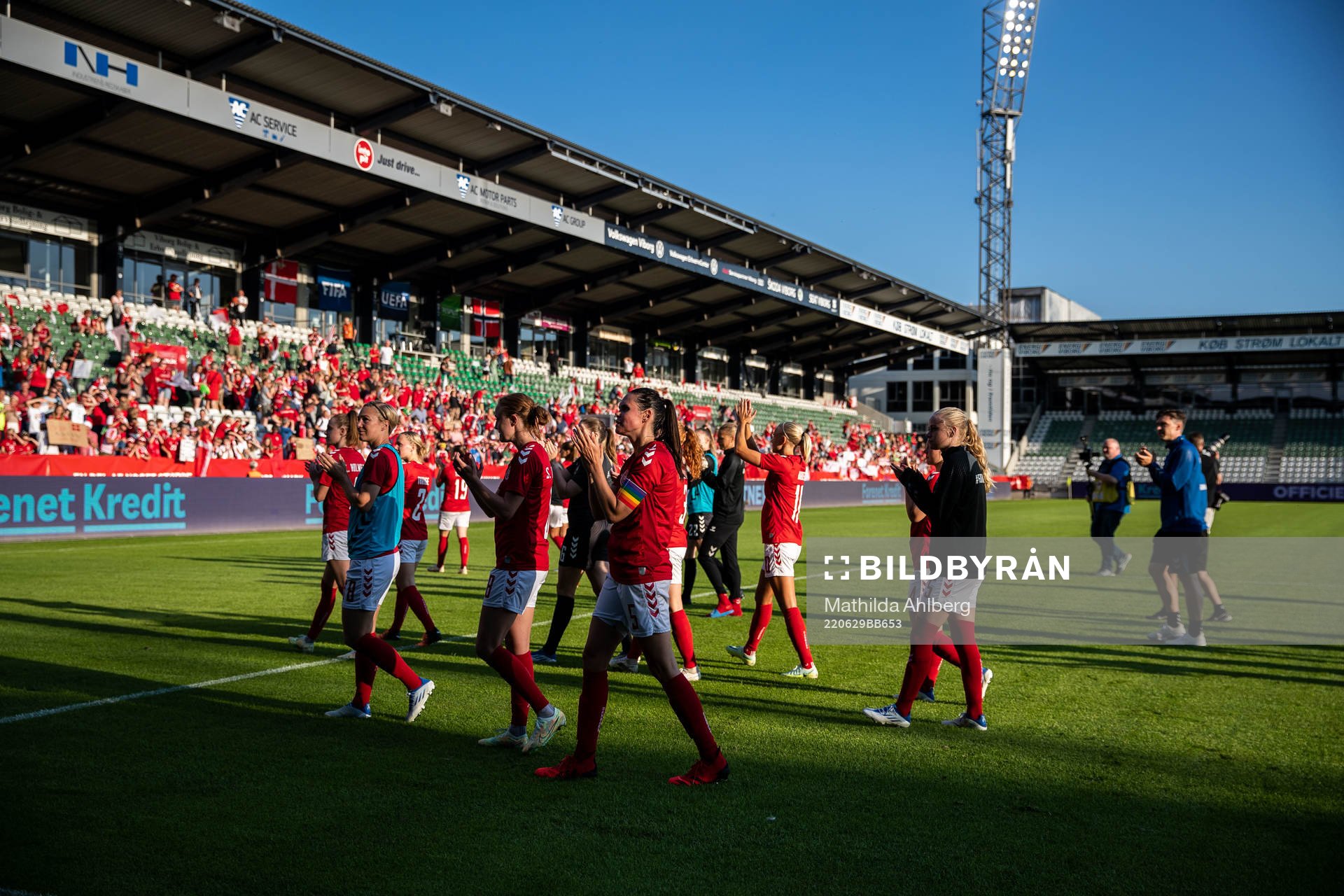 Players of Denmark