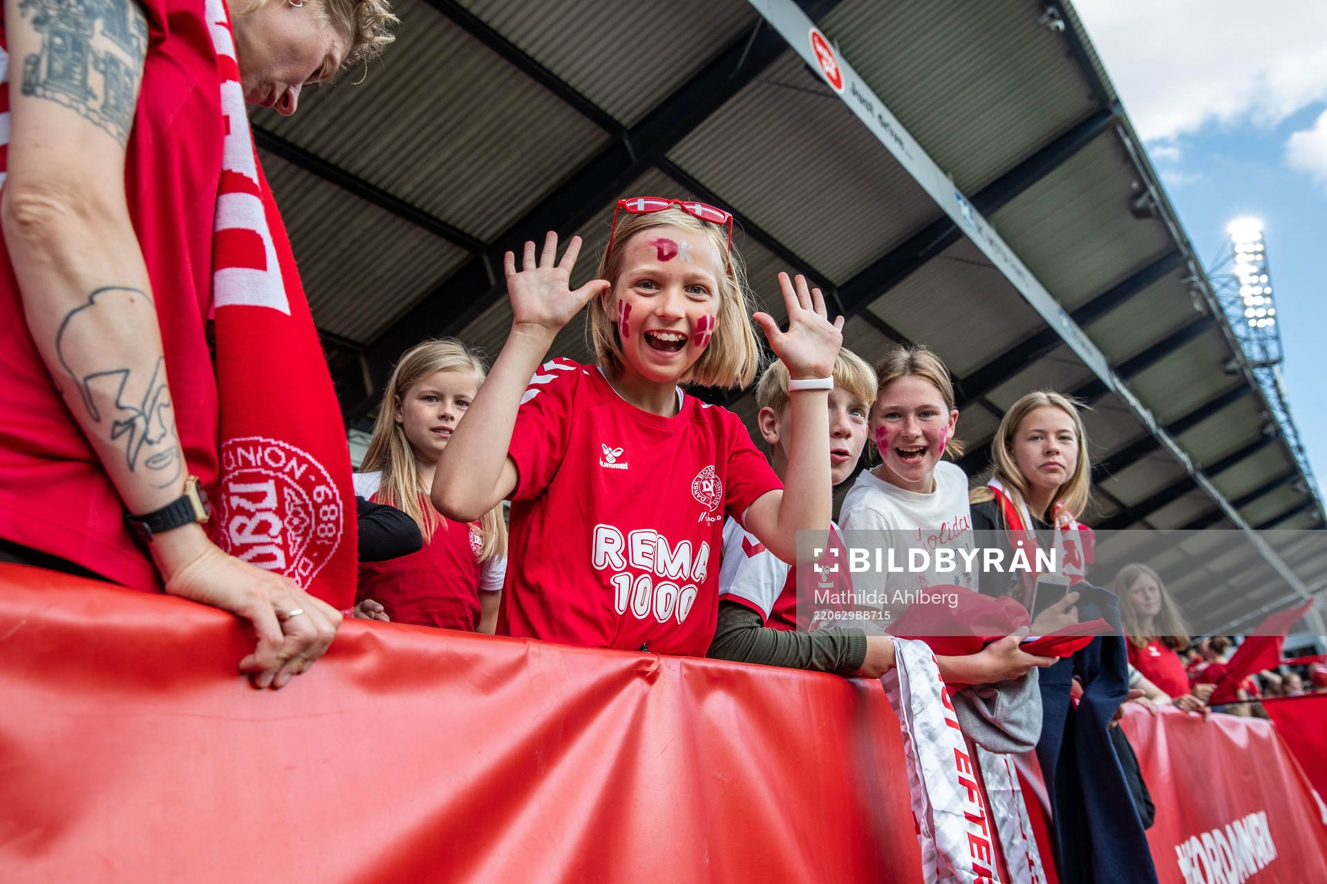 Fan of Denmark