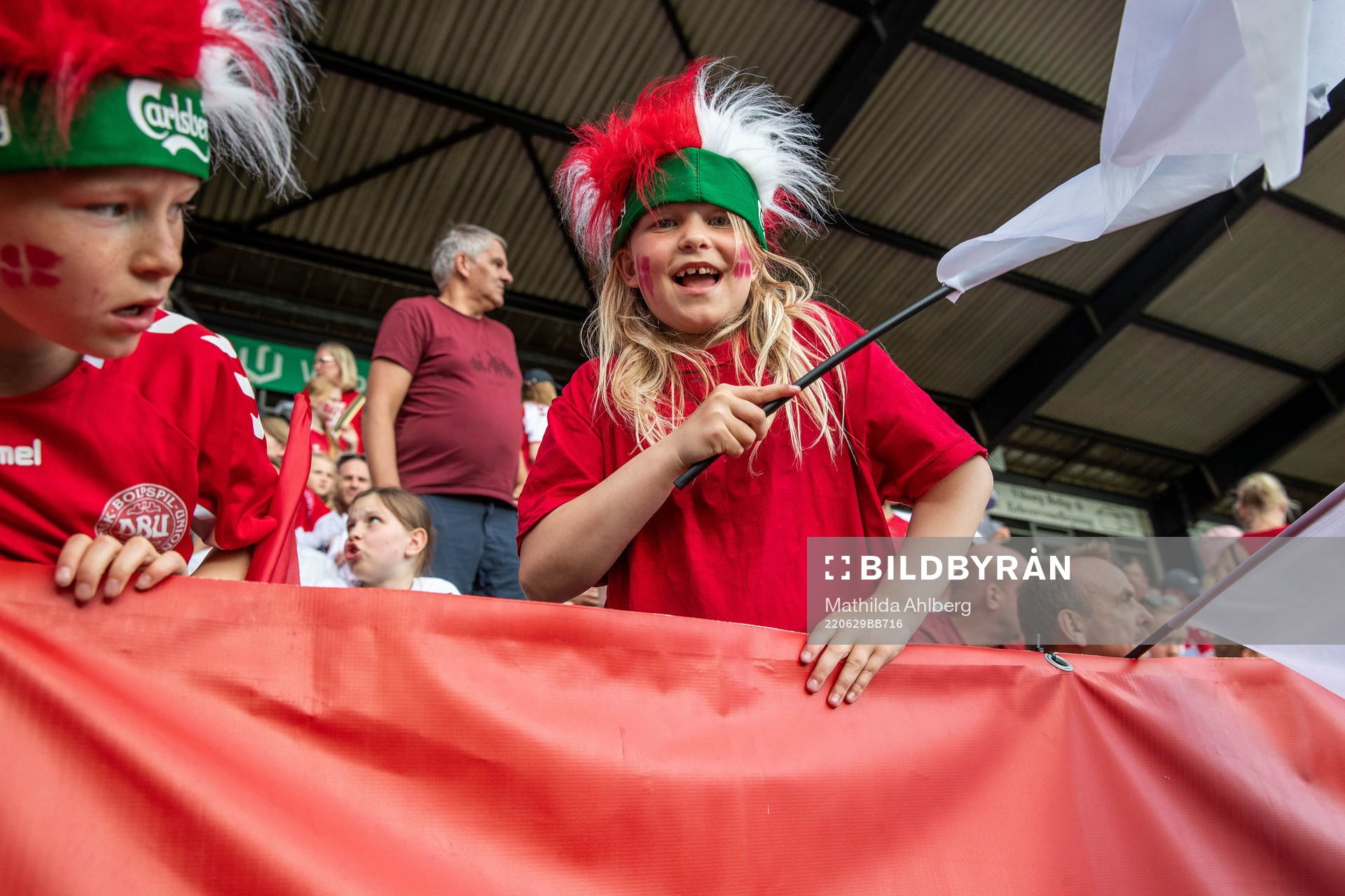 Fan of Denmark