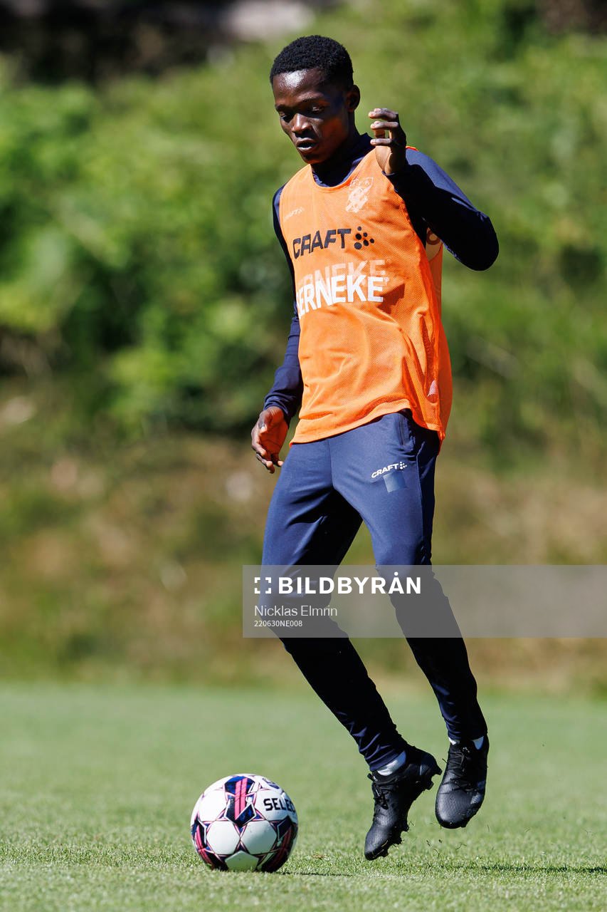 Raphael Ayaji