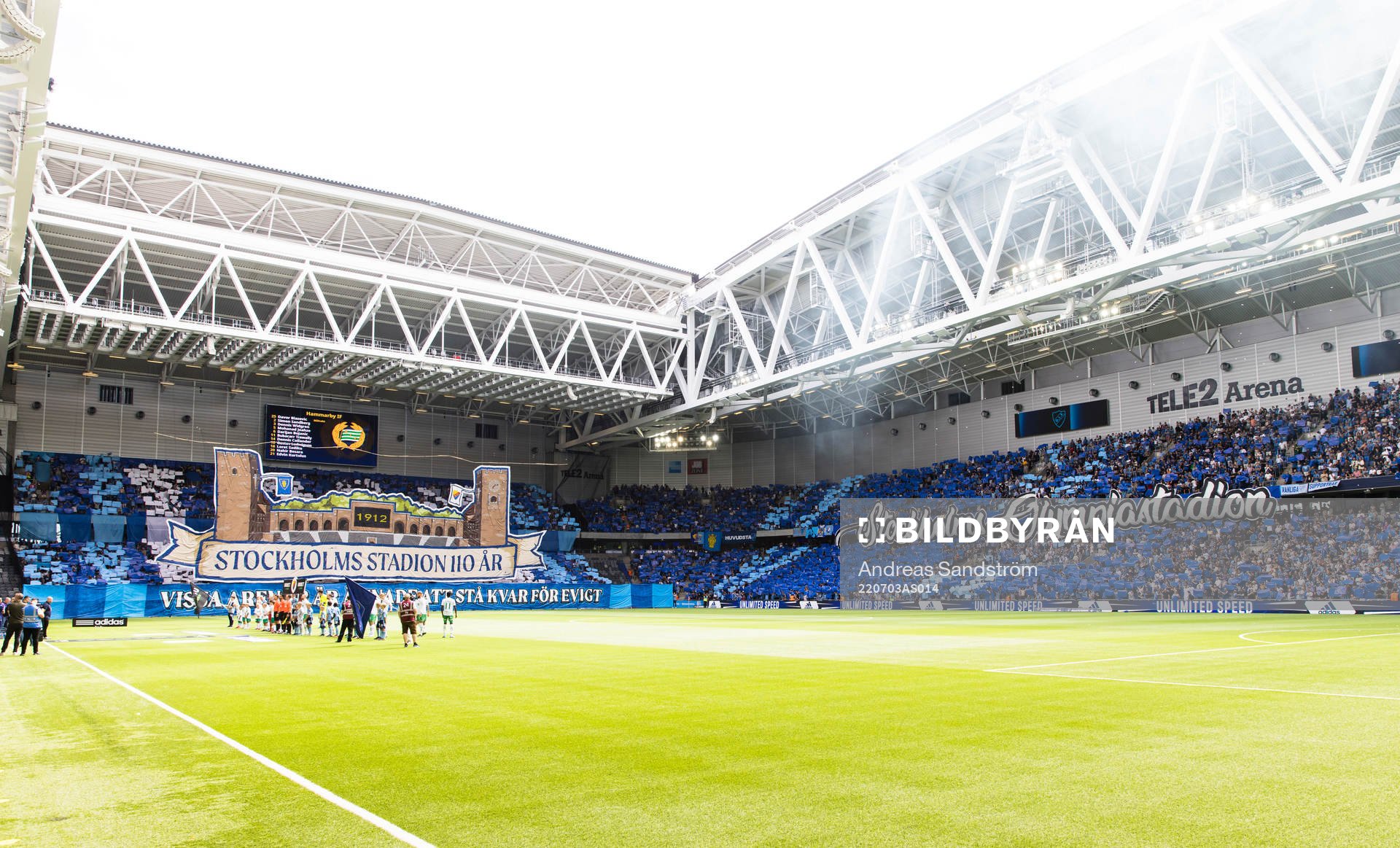 Djurgårdens tifo