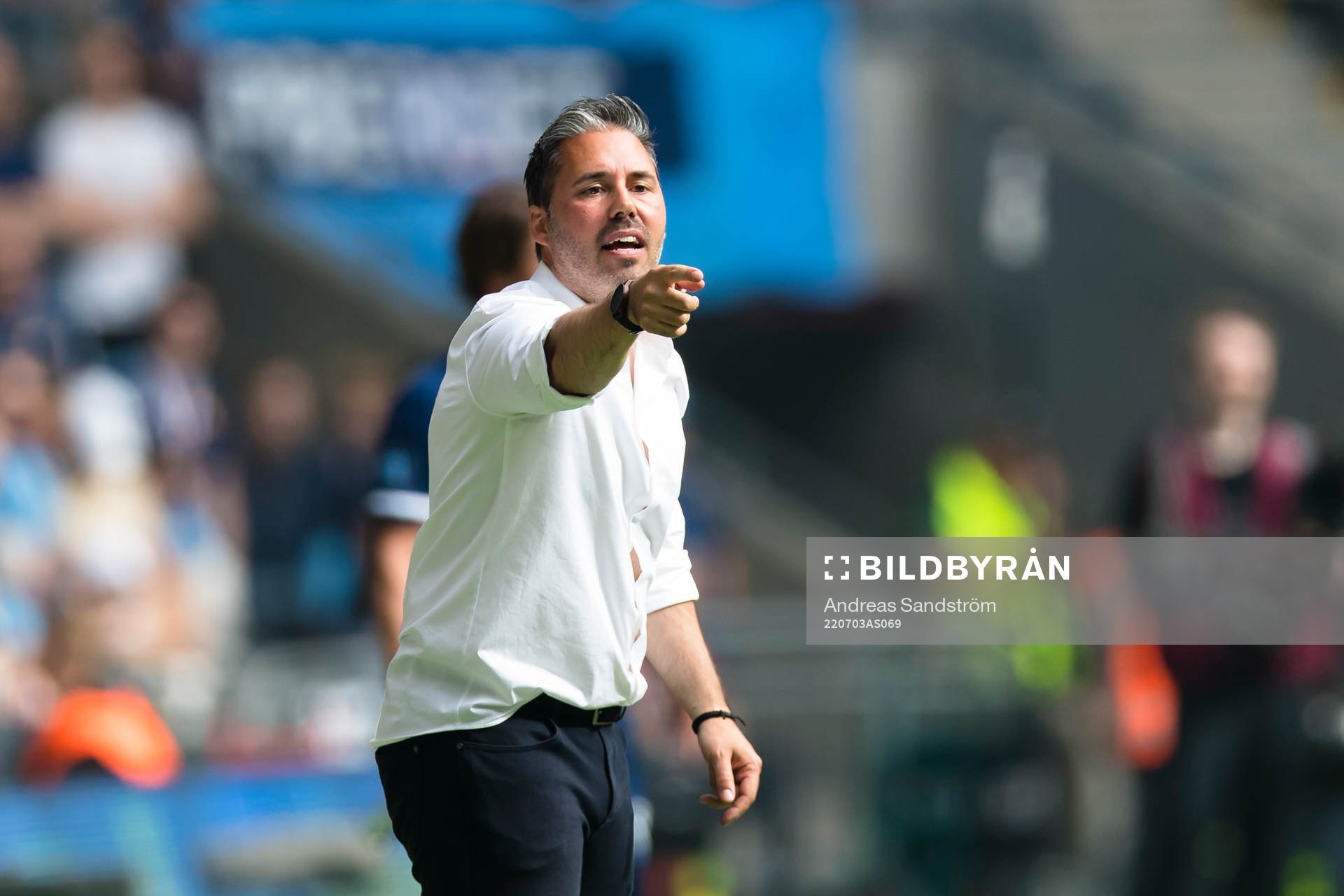 Hammarbys tränare Martí Cifuentes