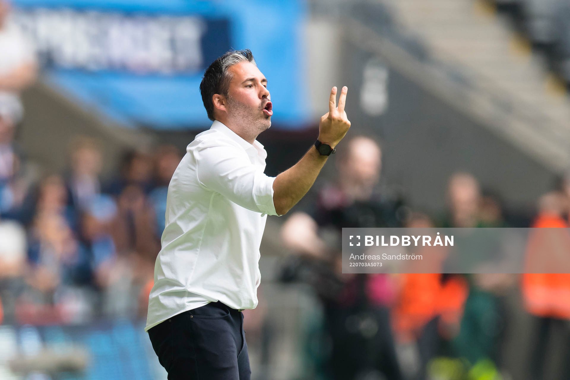 Hammarbys tränare Martí Cifuentes