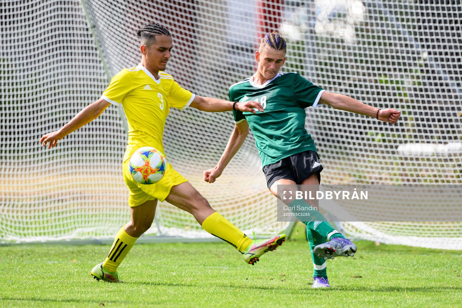 Armin Ovaidi och Alexander Törnqvist