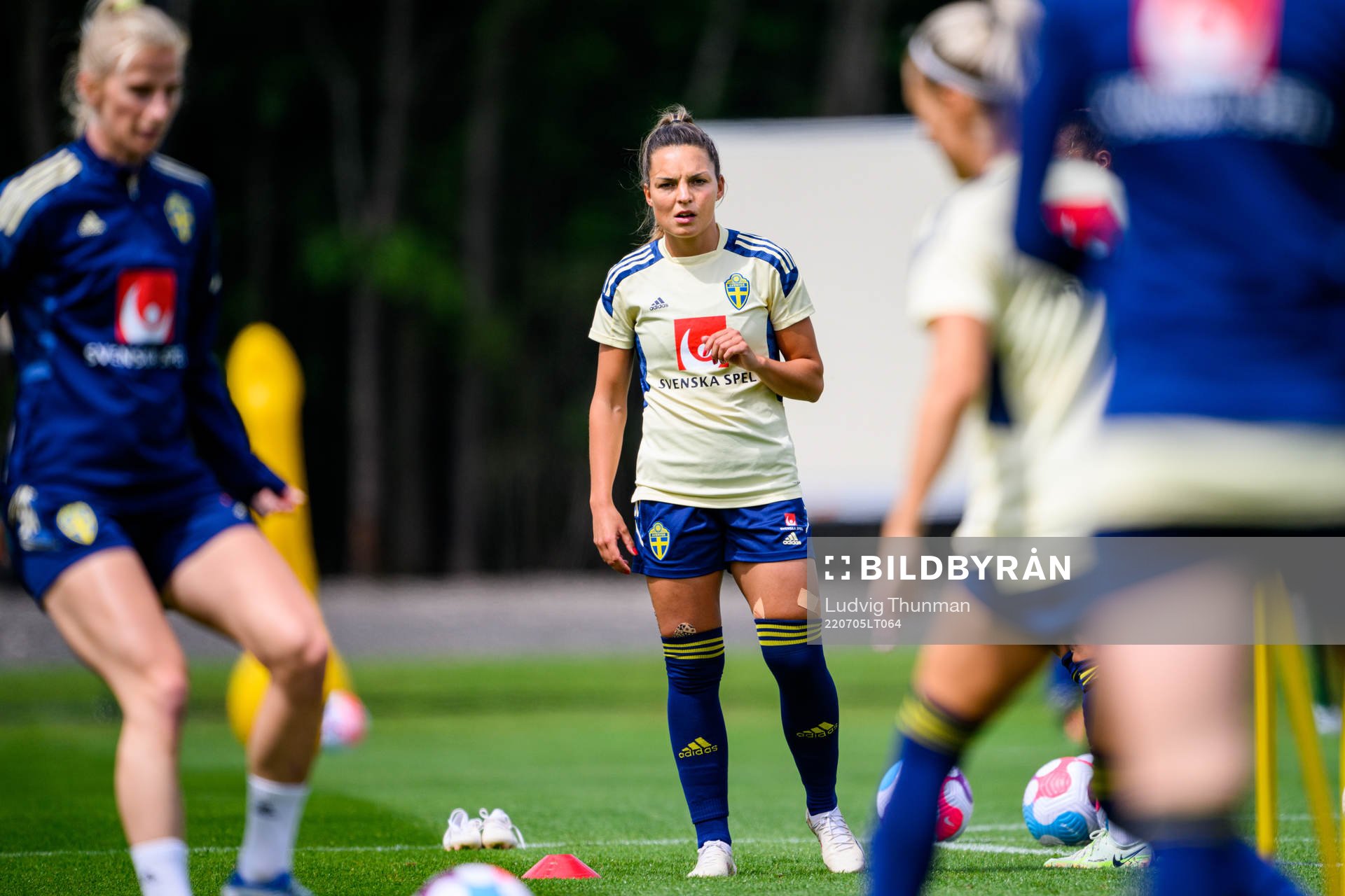 Johanna Rytting Kaneryd