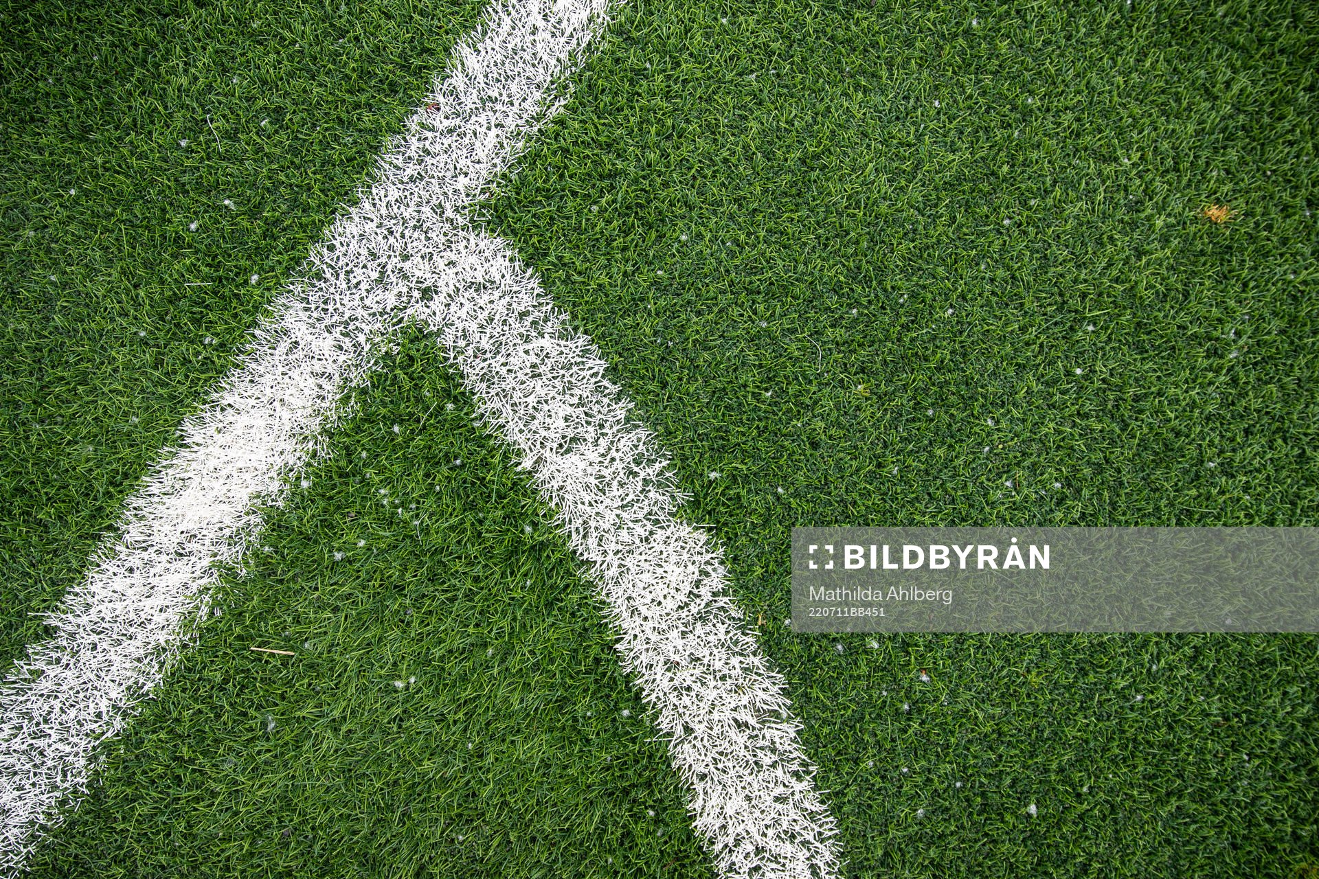 Artificial grass