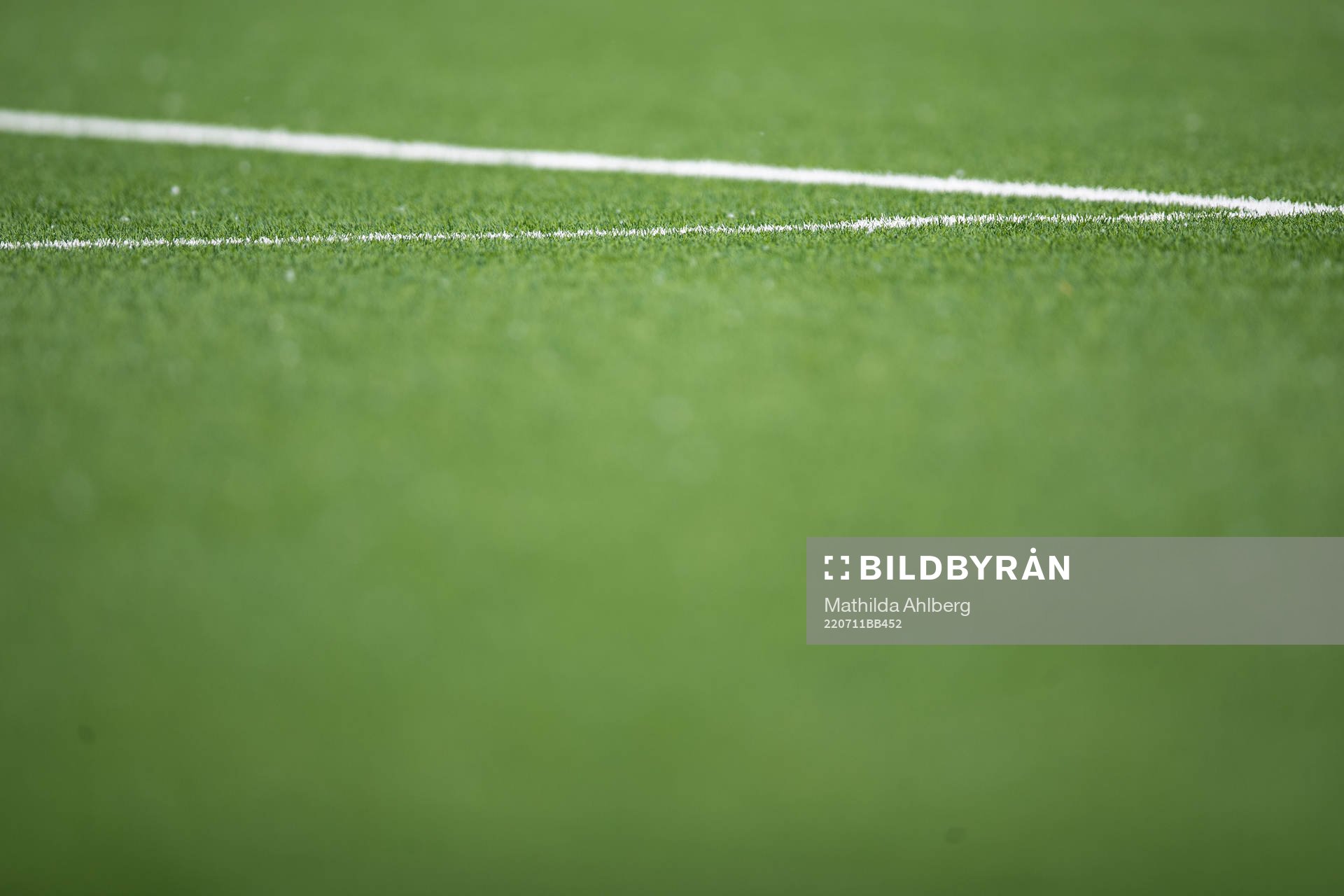 Artificial grass