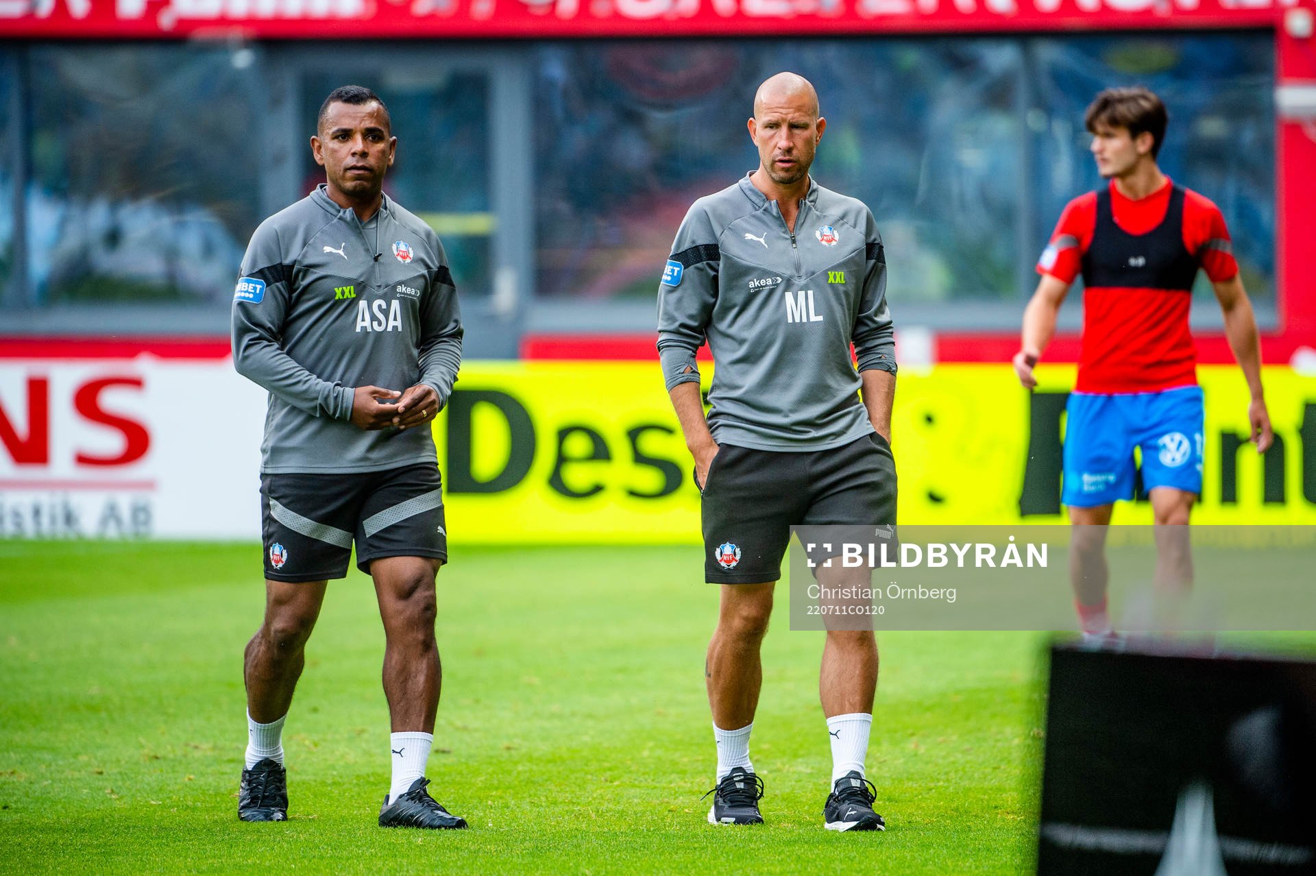 Helsingborgs tränare Alvaro Santos och tränare Mattias