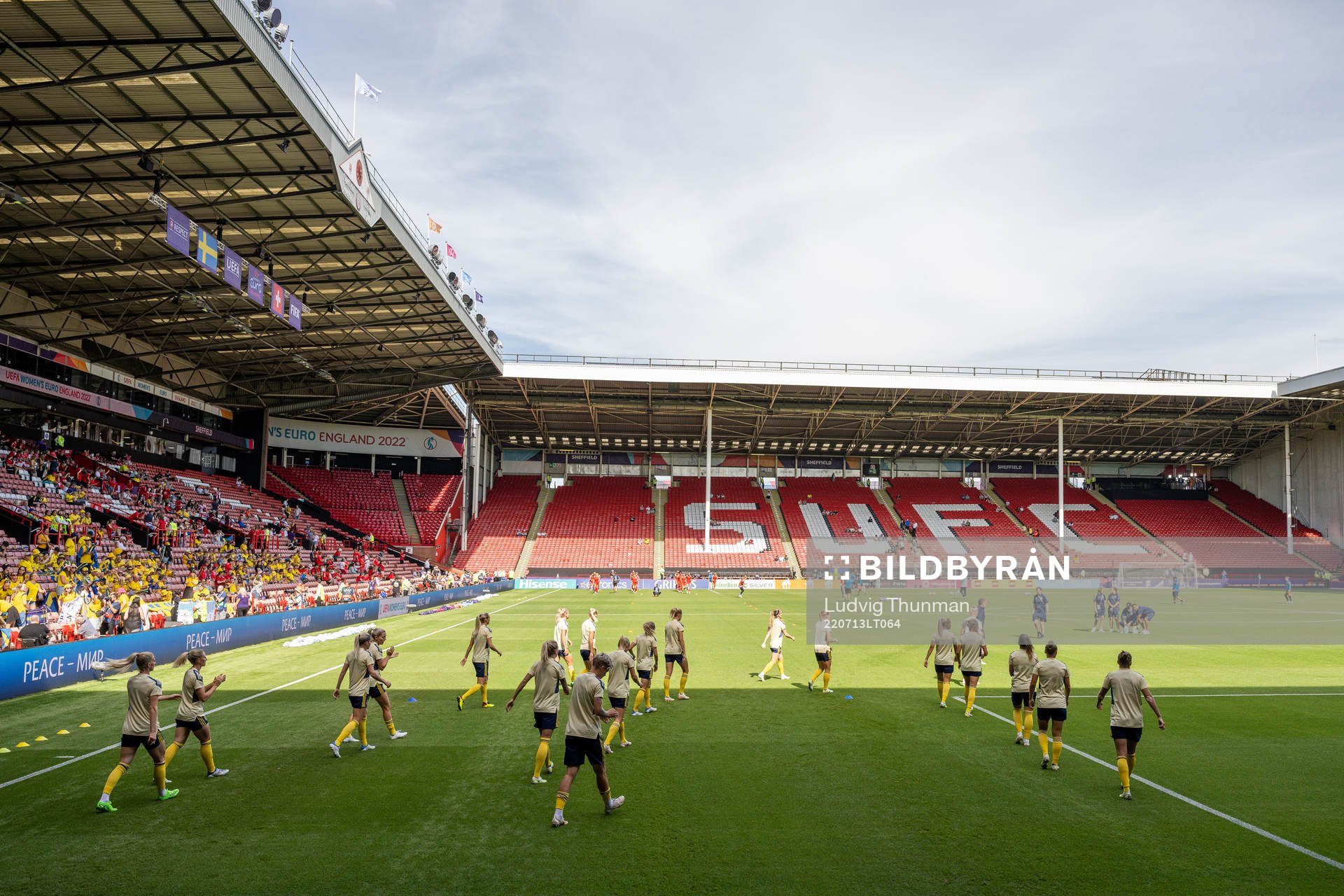 Players of Sweden