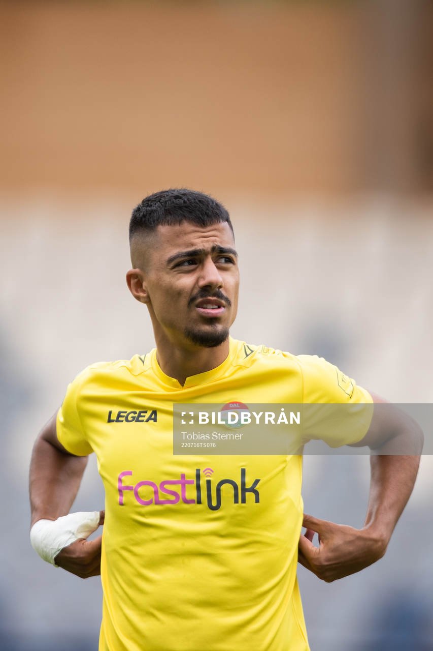Dalkurds Arash Motaraghebjafarpour