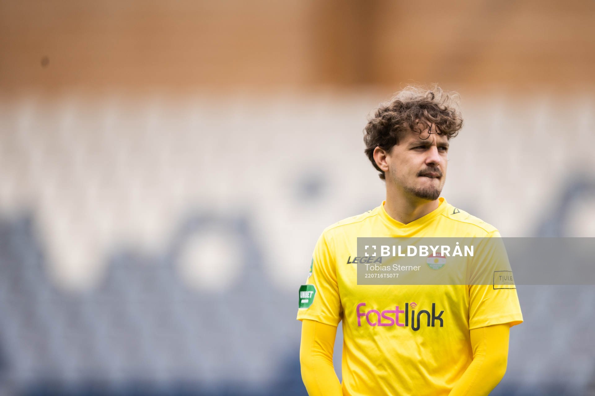 Dalkurds Stefan Wolf