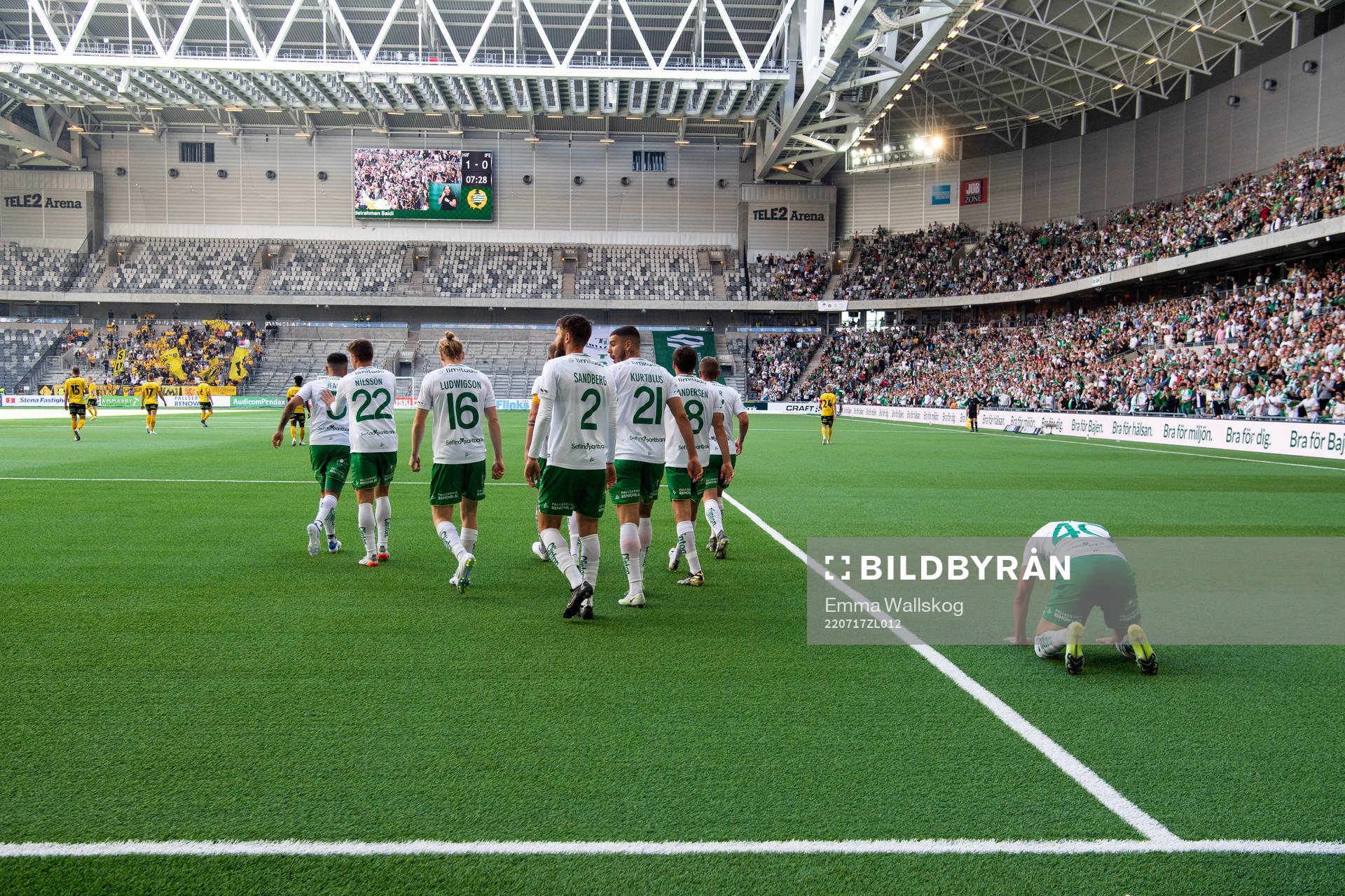 Hammarby jublar