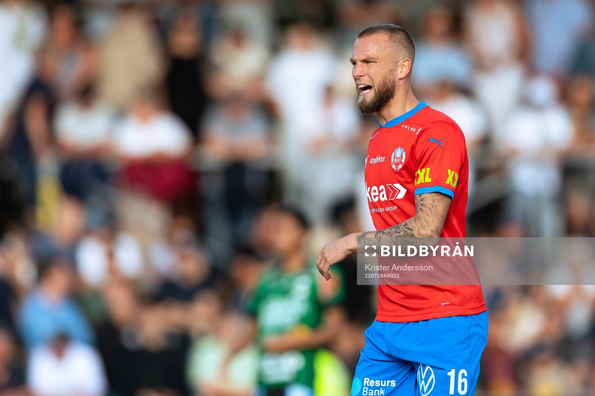 Helsingborgs Alexander Faltsetas