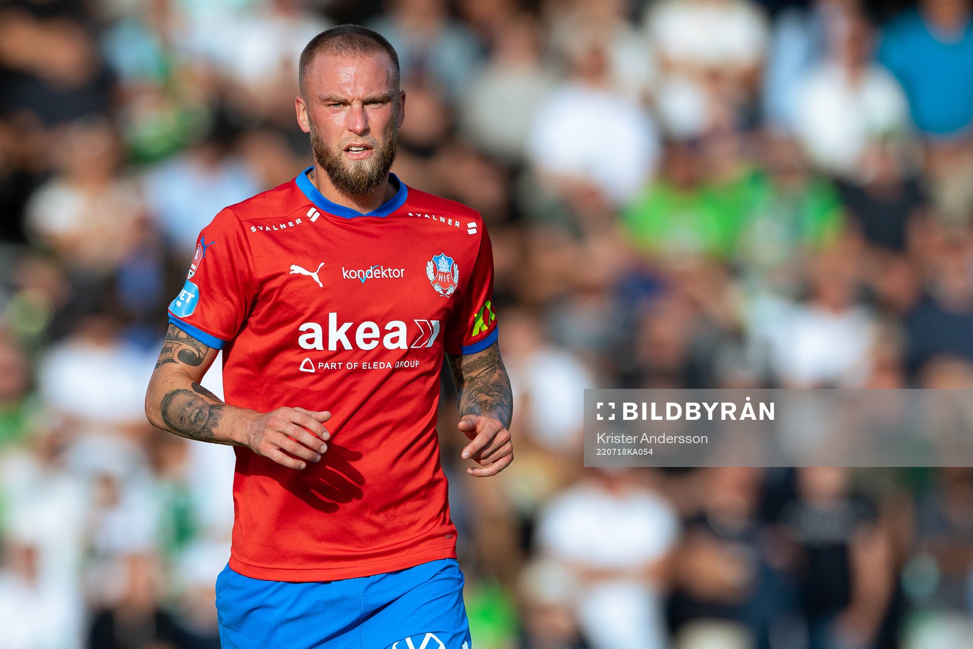 Helsingborgs Alexander Faltsetas