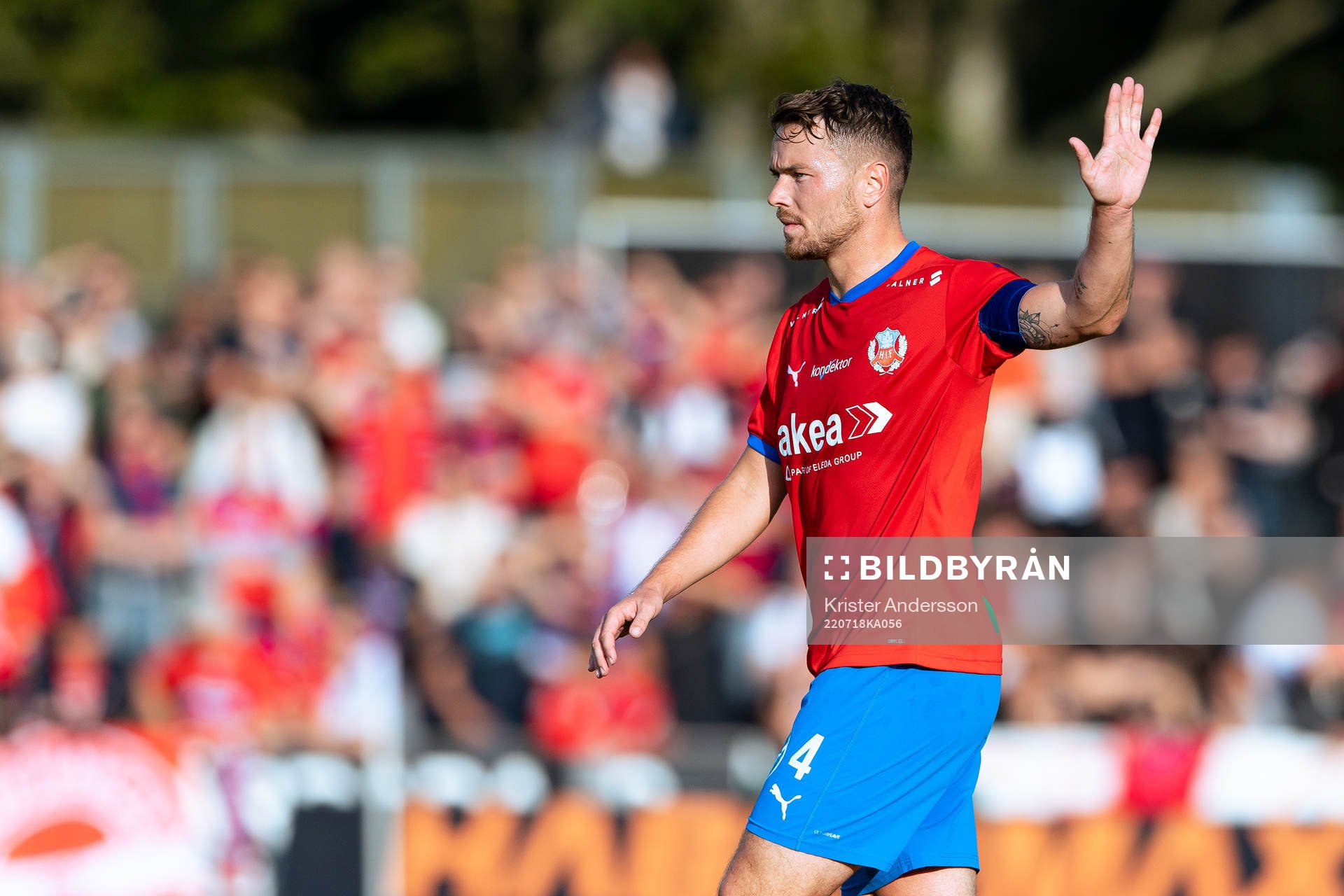 Helsingborgs Viljormur Davidsen