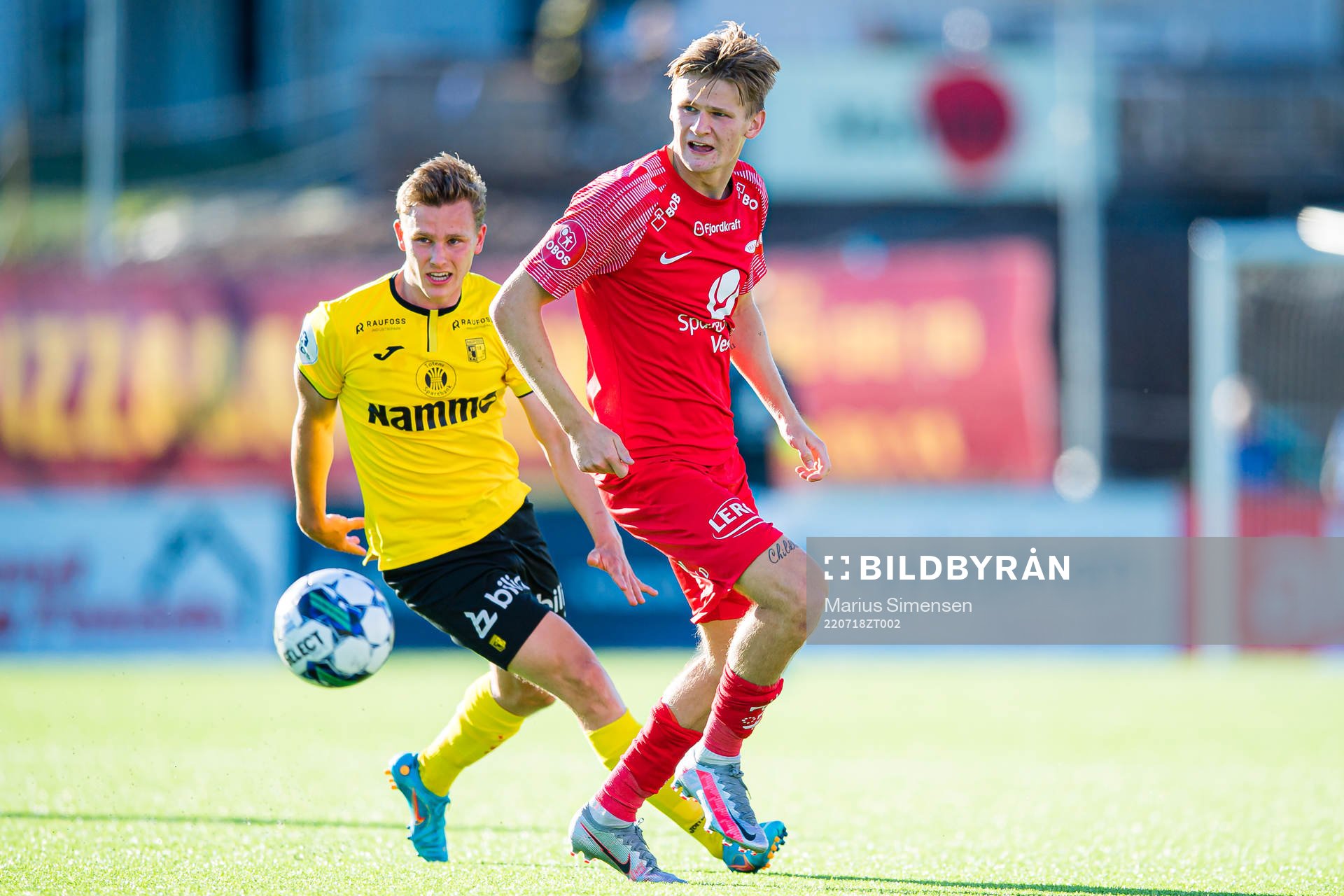 David Møller Wolfe of Brann