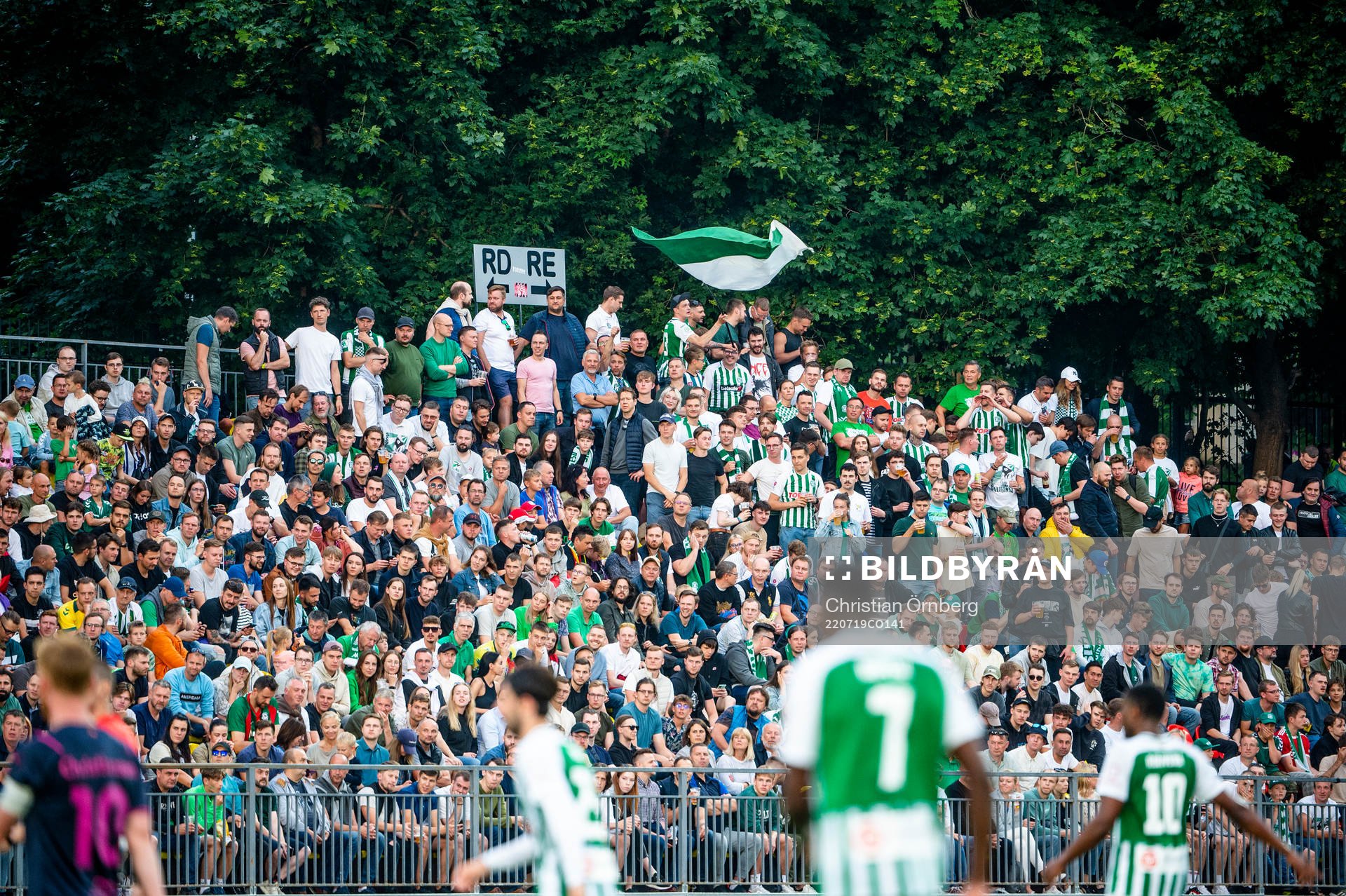 Supporters of FK Zalgiris