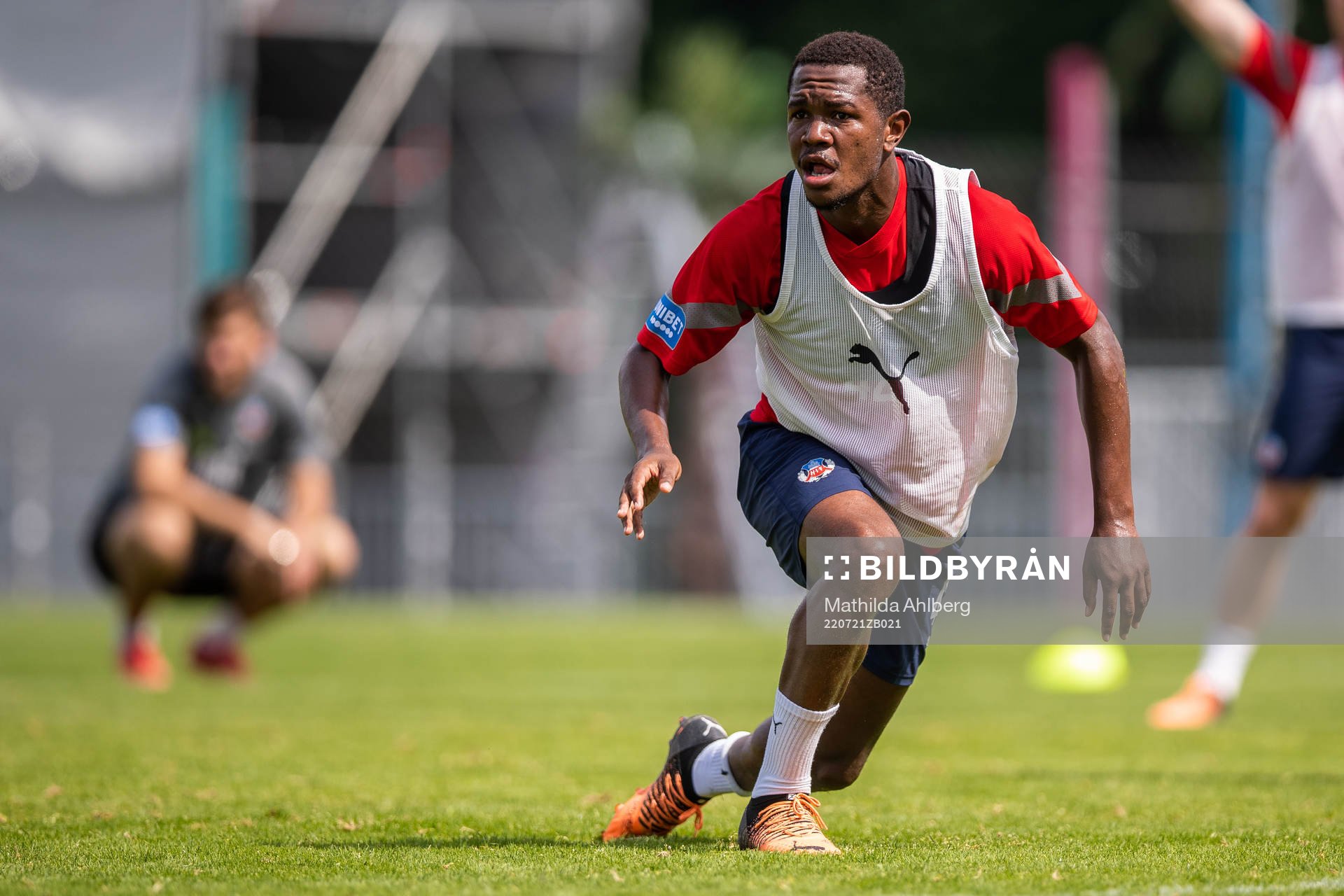 Diego Fumaca