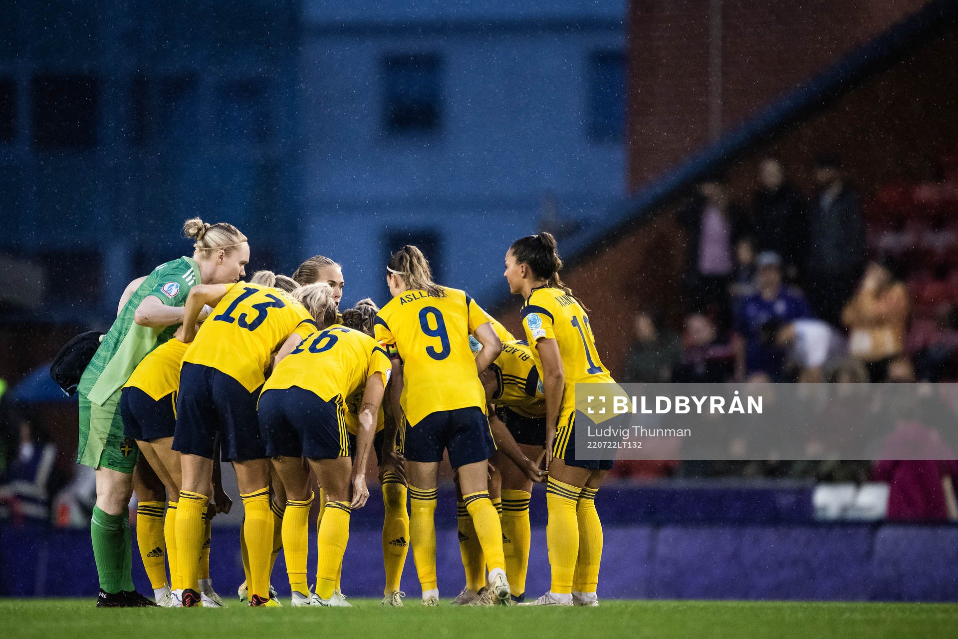 Players of Sweden