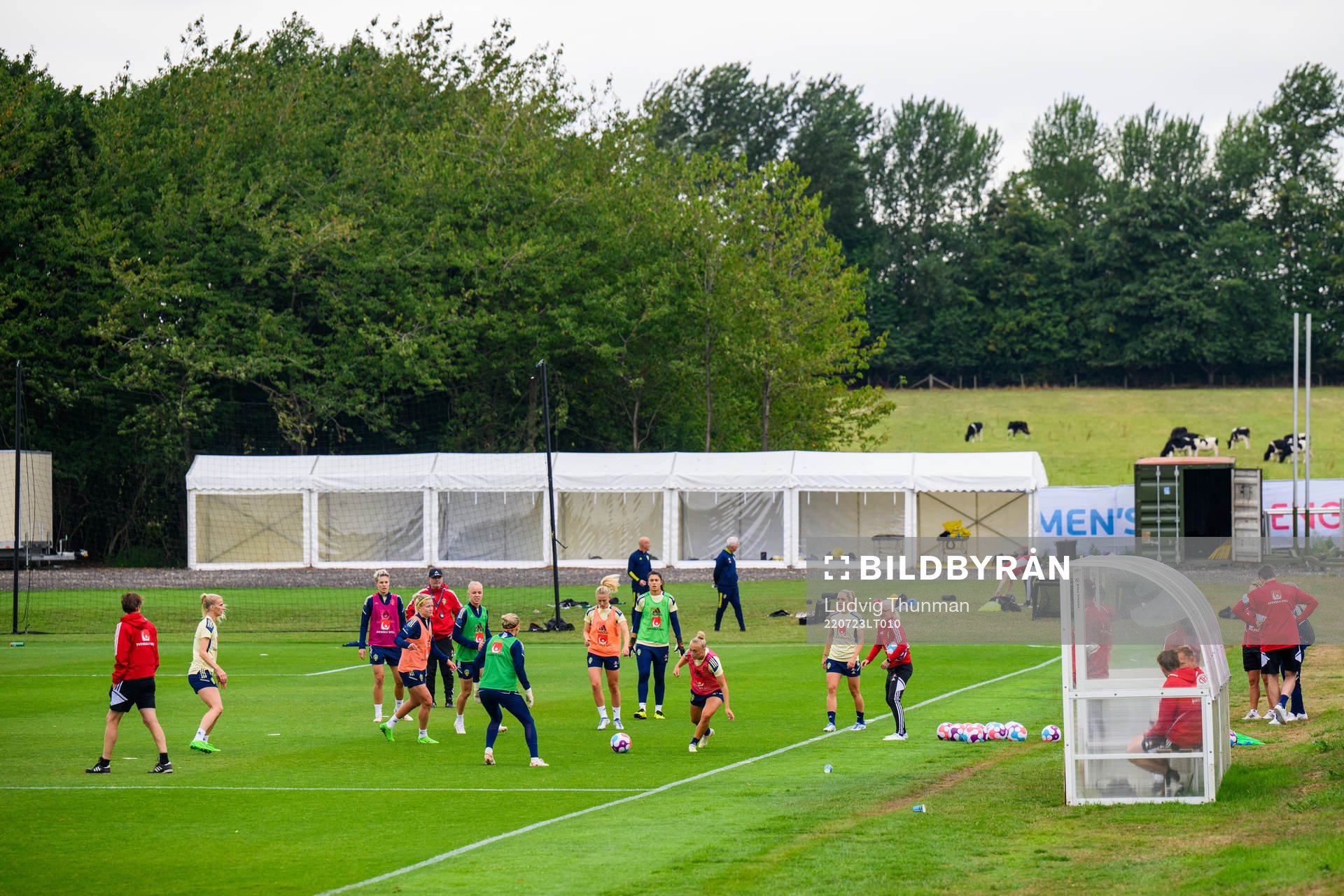 General view of the Swedish women's national football team