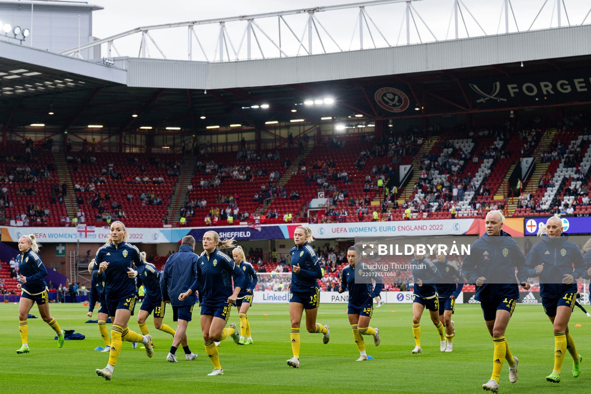 Players of Sweden