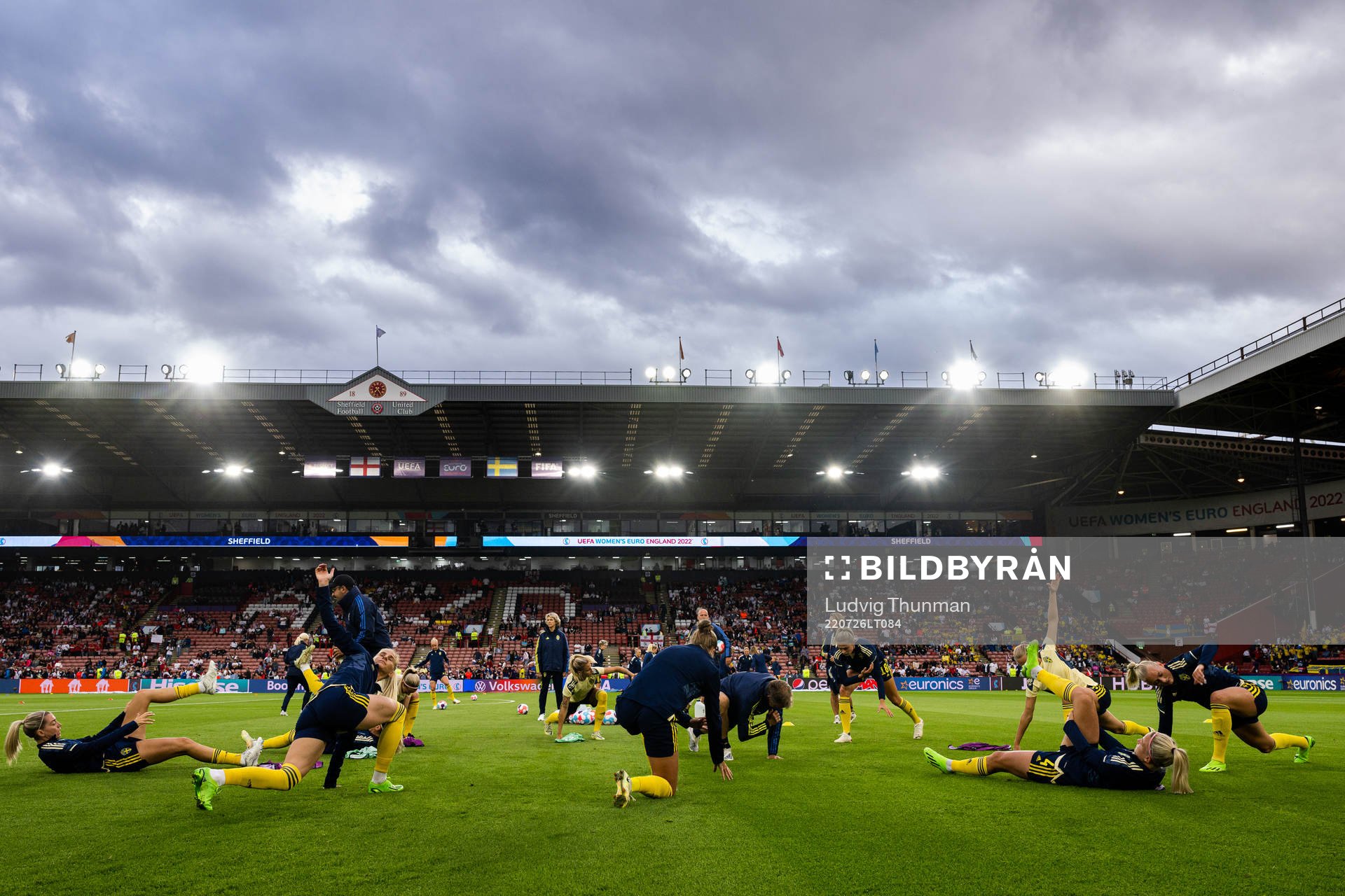 Players of Sweden