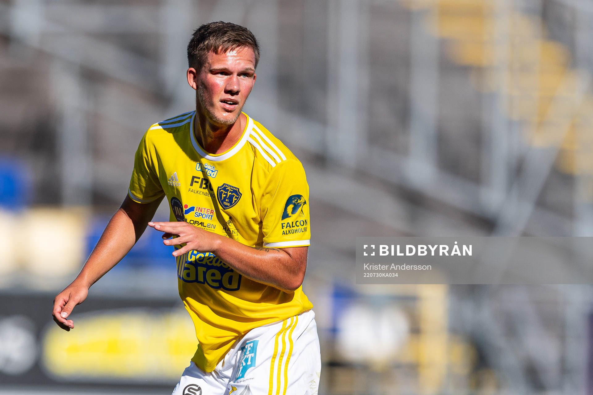 Falkenbergs Tim Stålheden