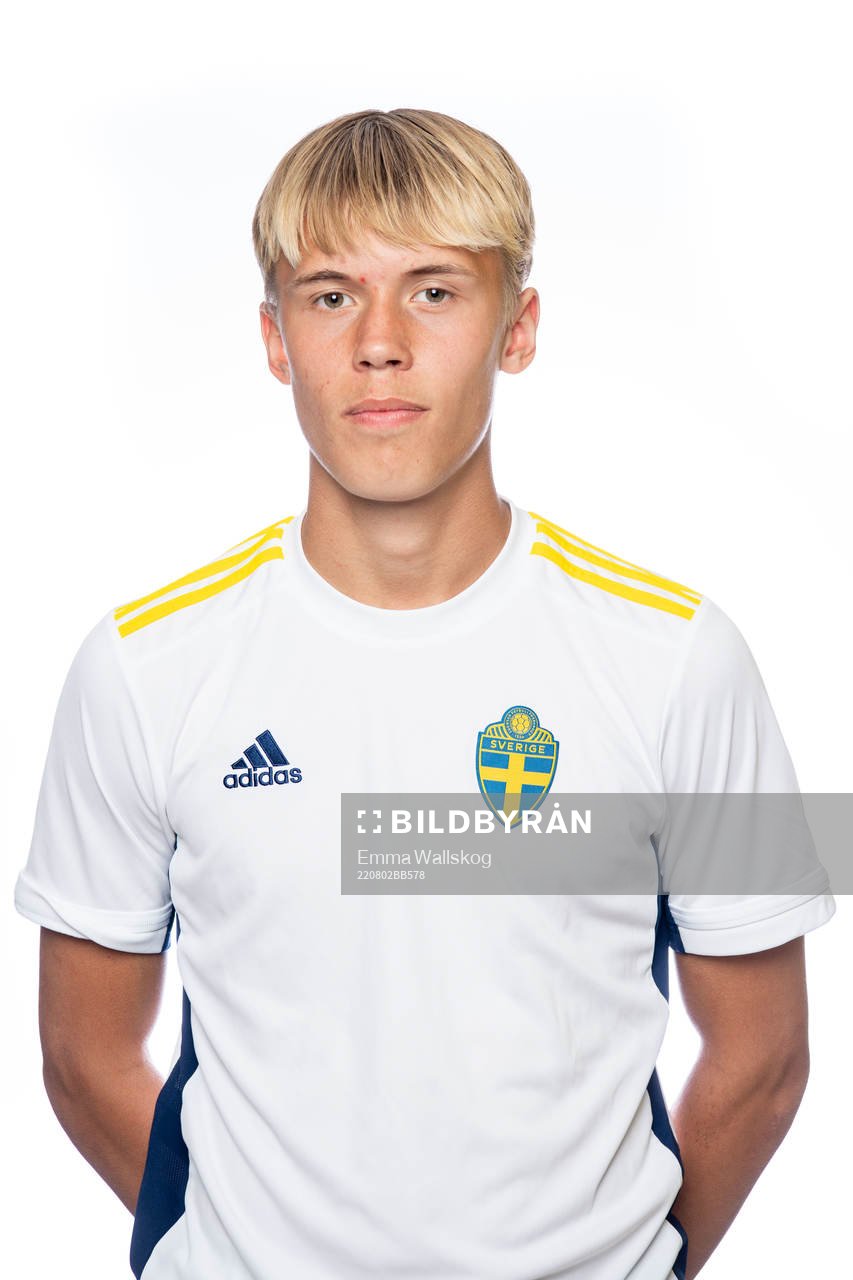 Viggo Elfström