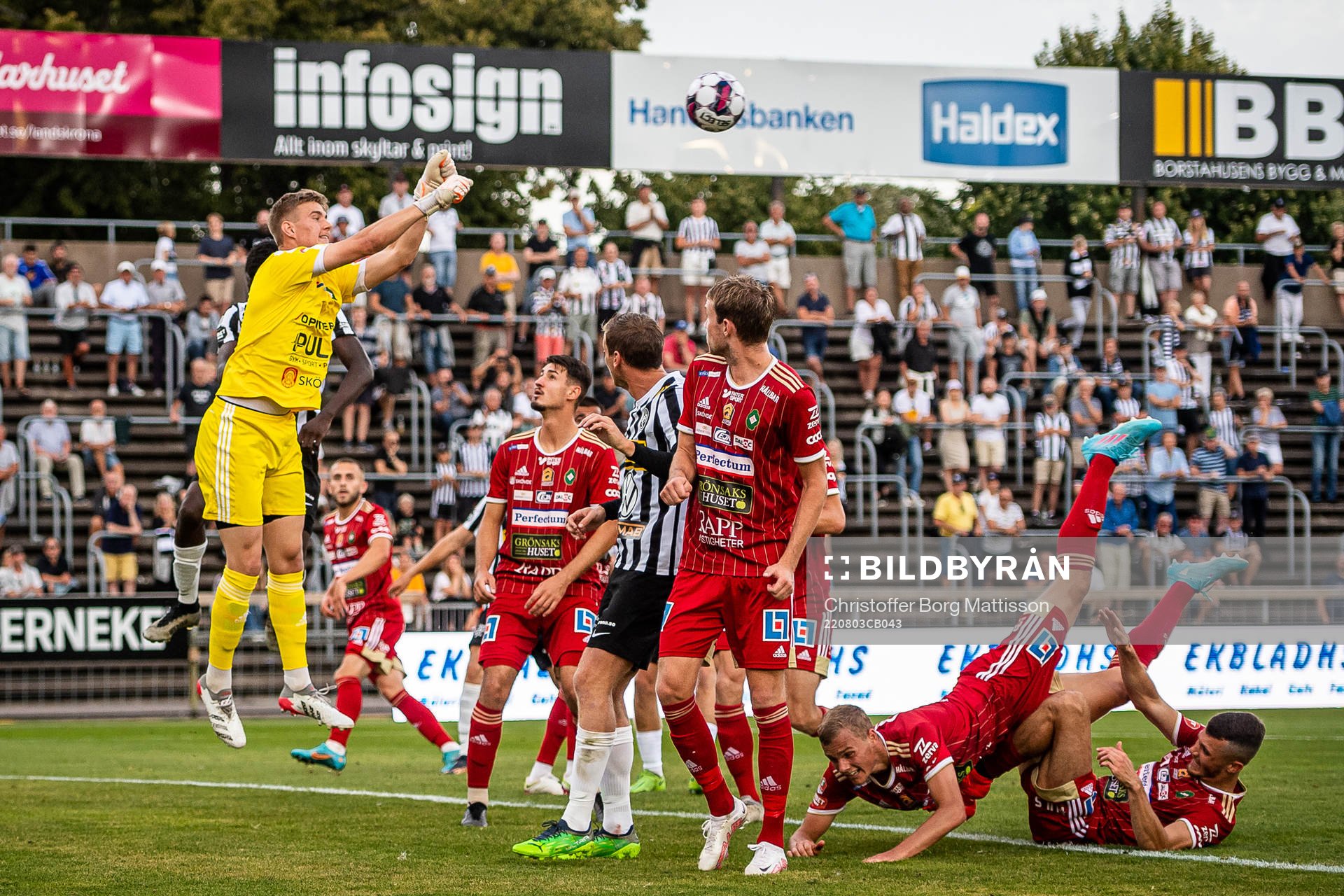 Skövdes målvakt David Engelbrektsson