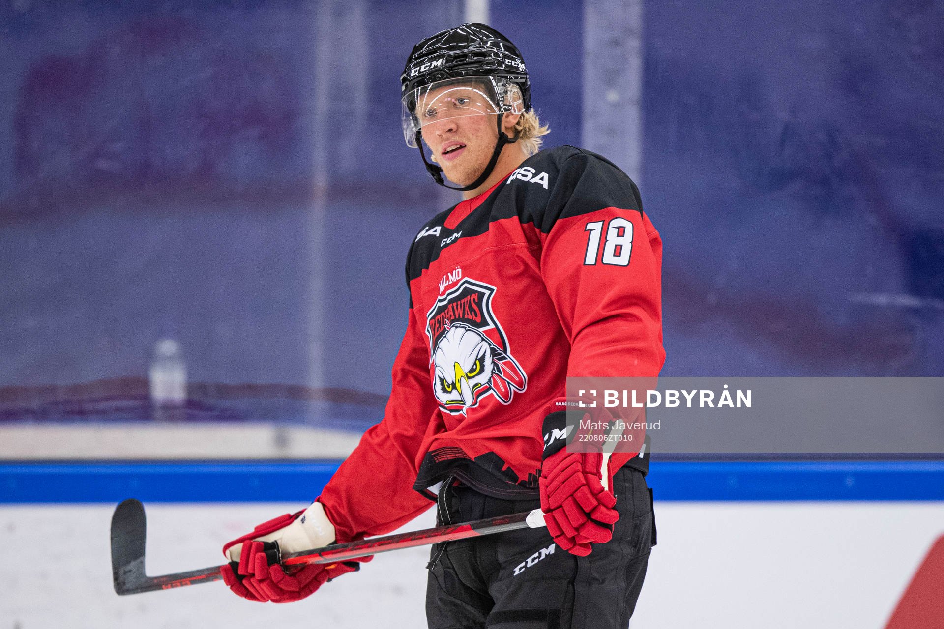 Malmö Redhawks Marcus Sylvegård jublar