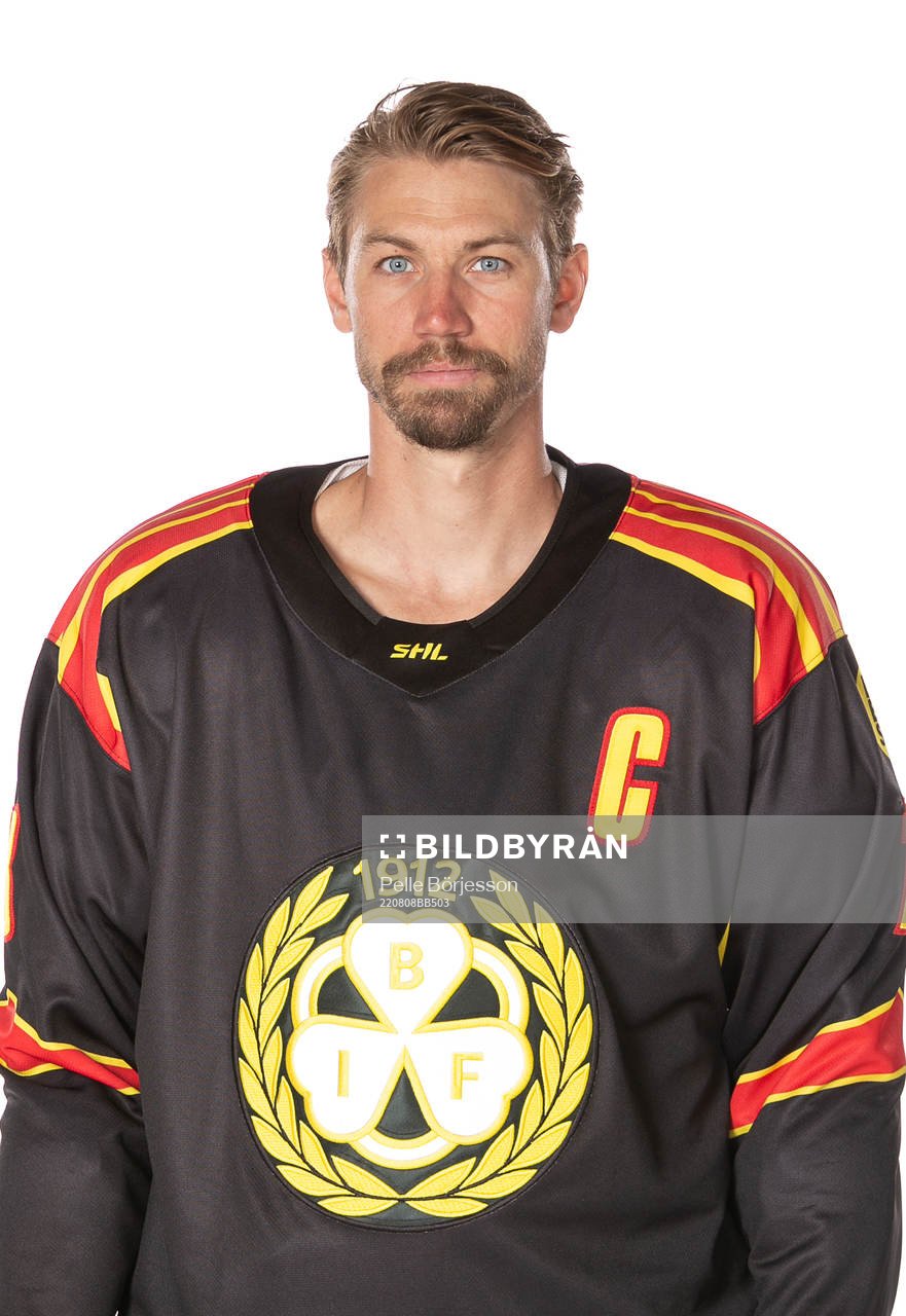 Brynäs Anton Rödin