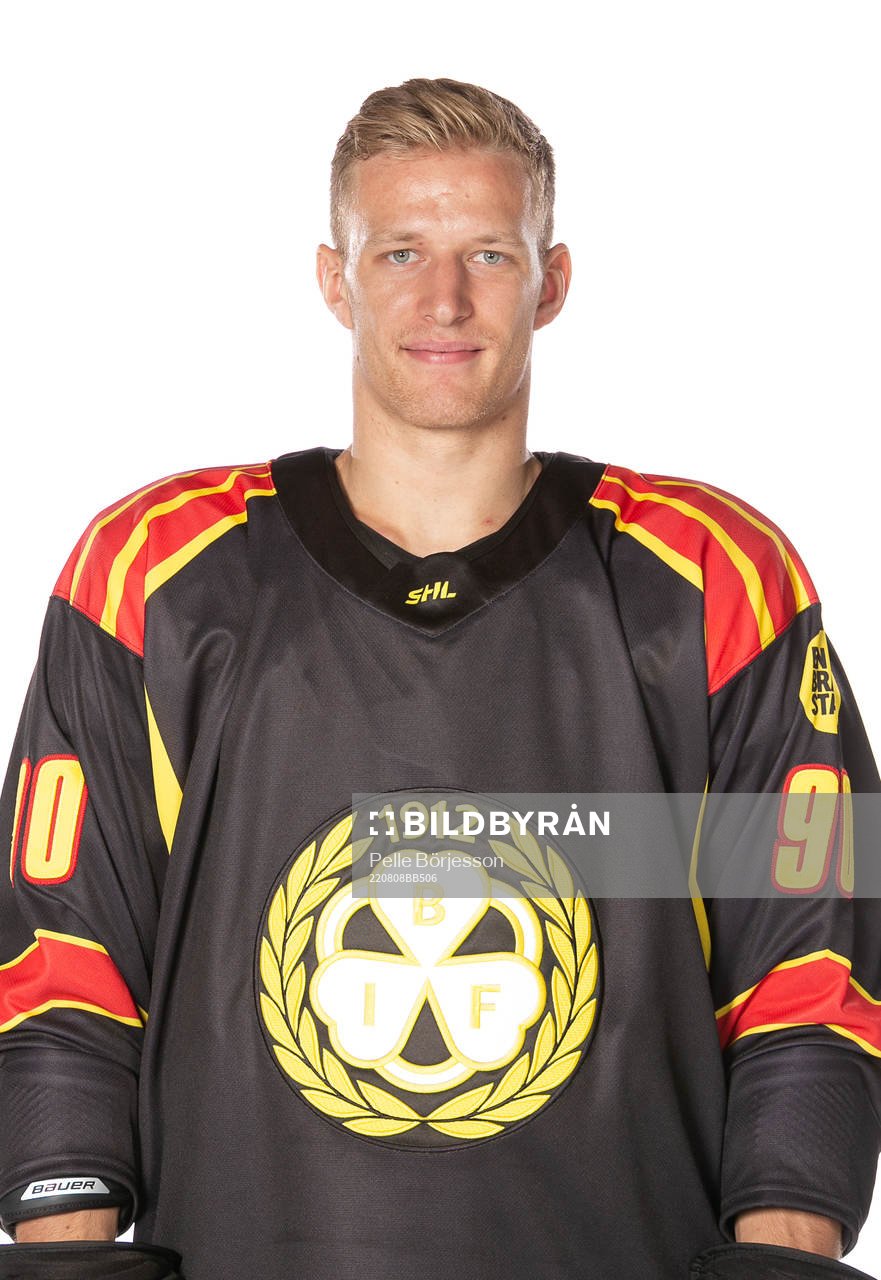 Brynäs David Sklenicka