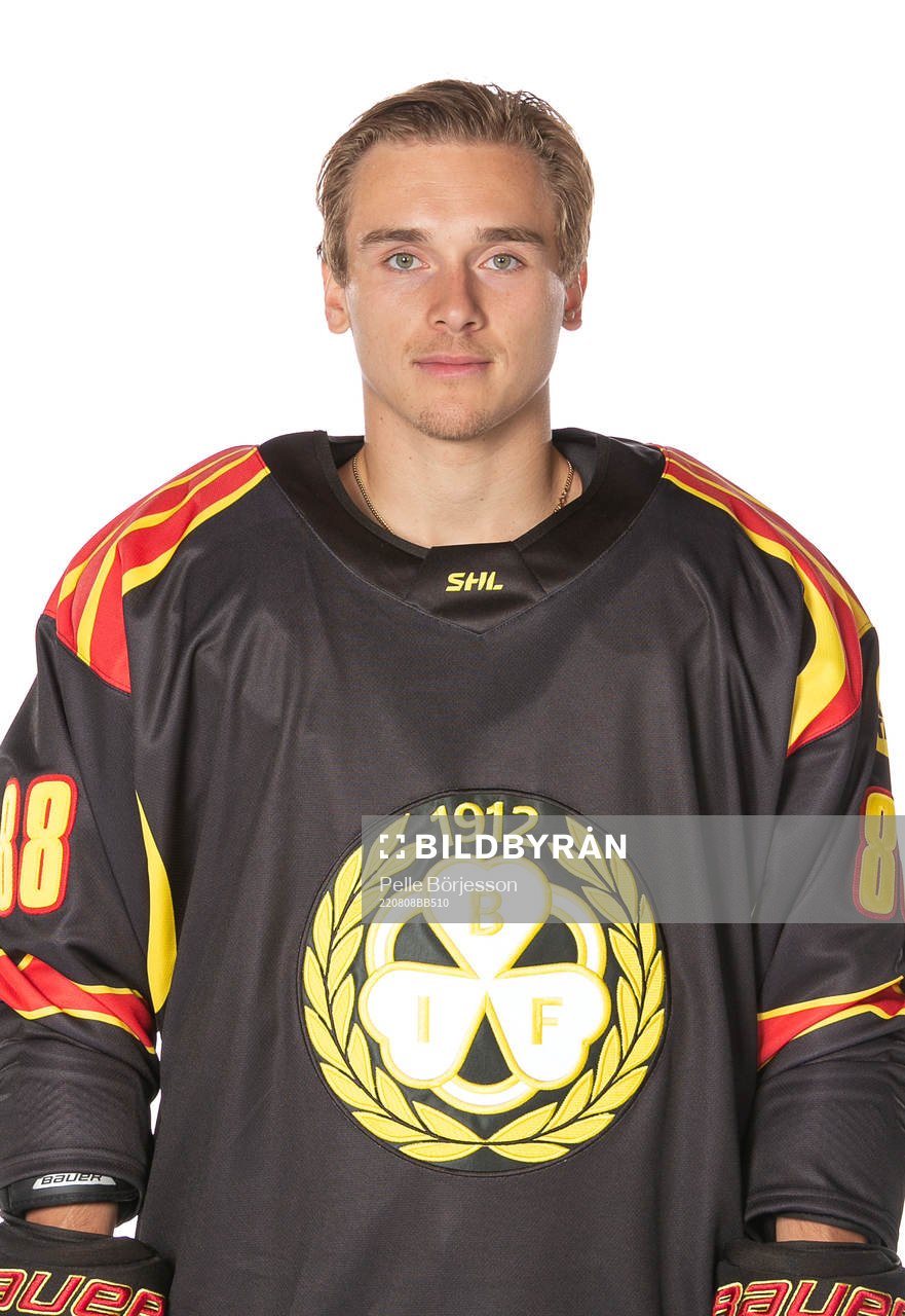 Brynäs Dmytro Timashov