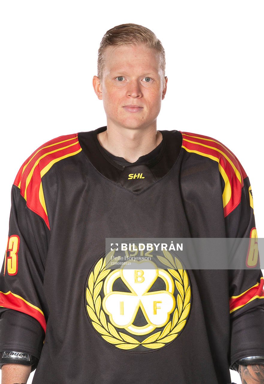 Brynäs Julius Bergman