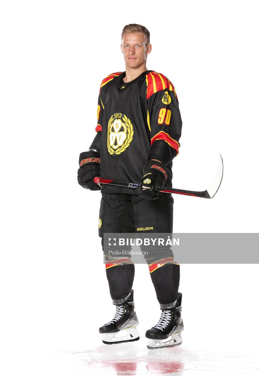 Brynäs David Sklenicka